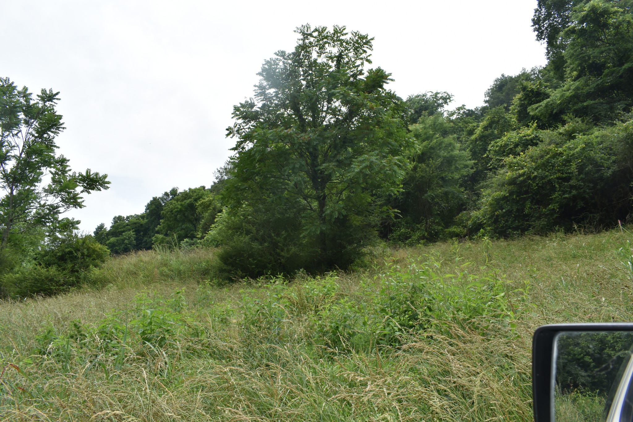 0 Pleasant Shade Hwy Lot 16, Pleasant Shade, TN 37145
