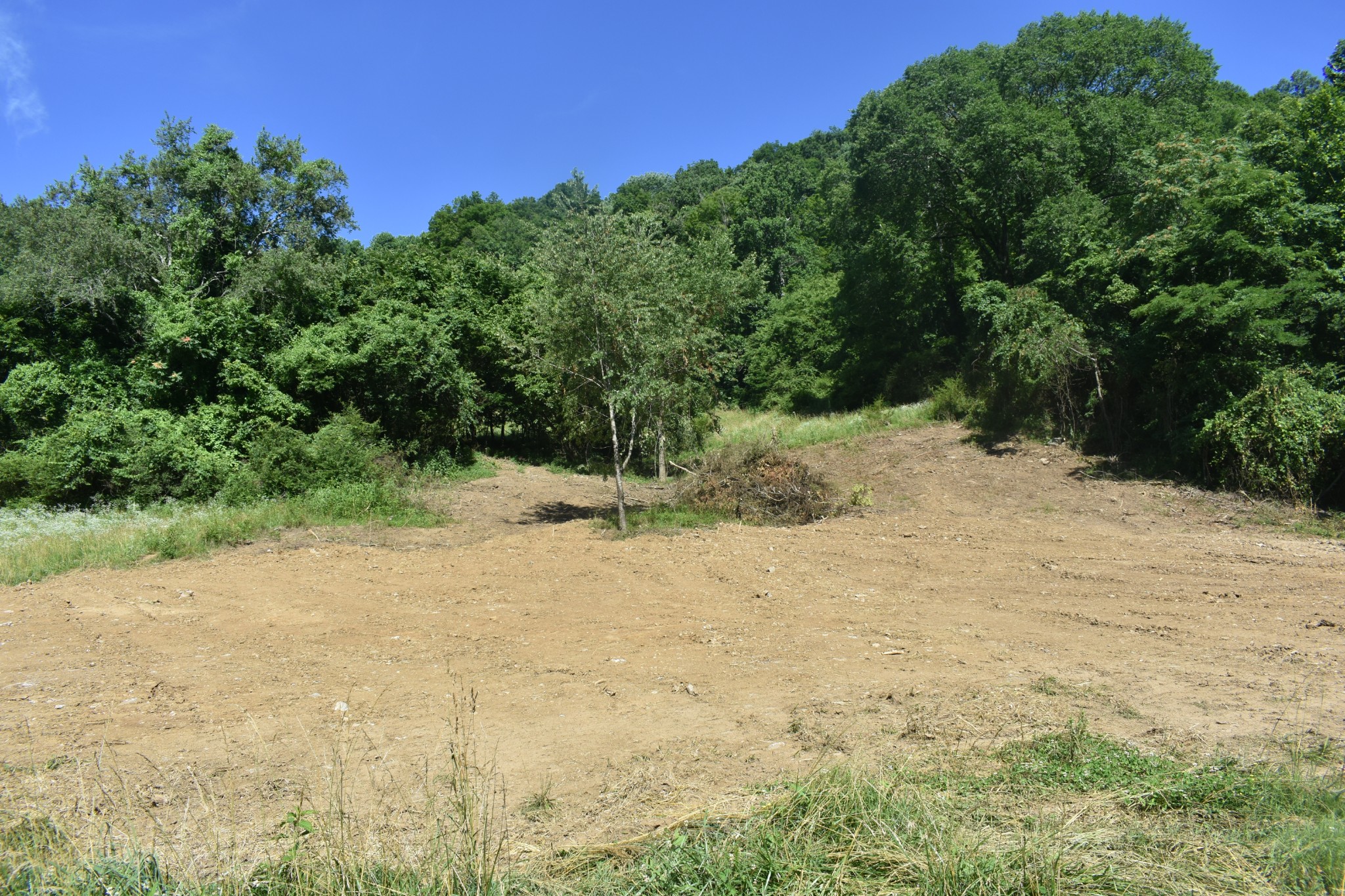 0 Pleasant Shade Hwy Lot 16, Pleasant Shade, TN 37145