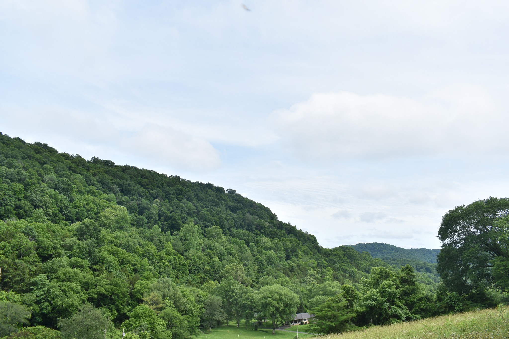 0 Pleasant Shade Hwy Lot 17, Pleasant Shade, TN 37145