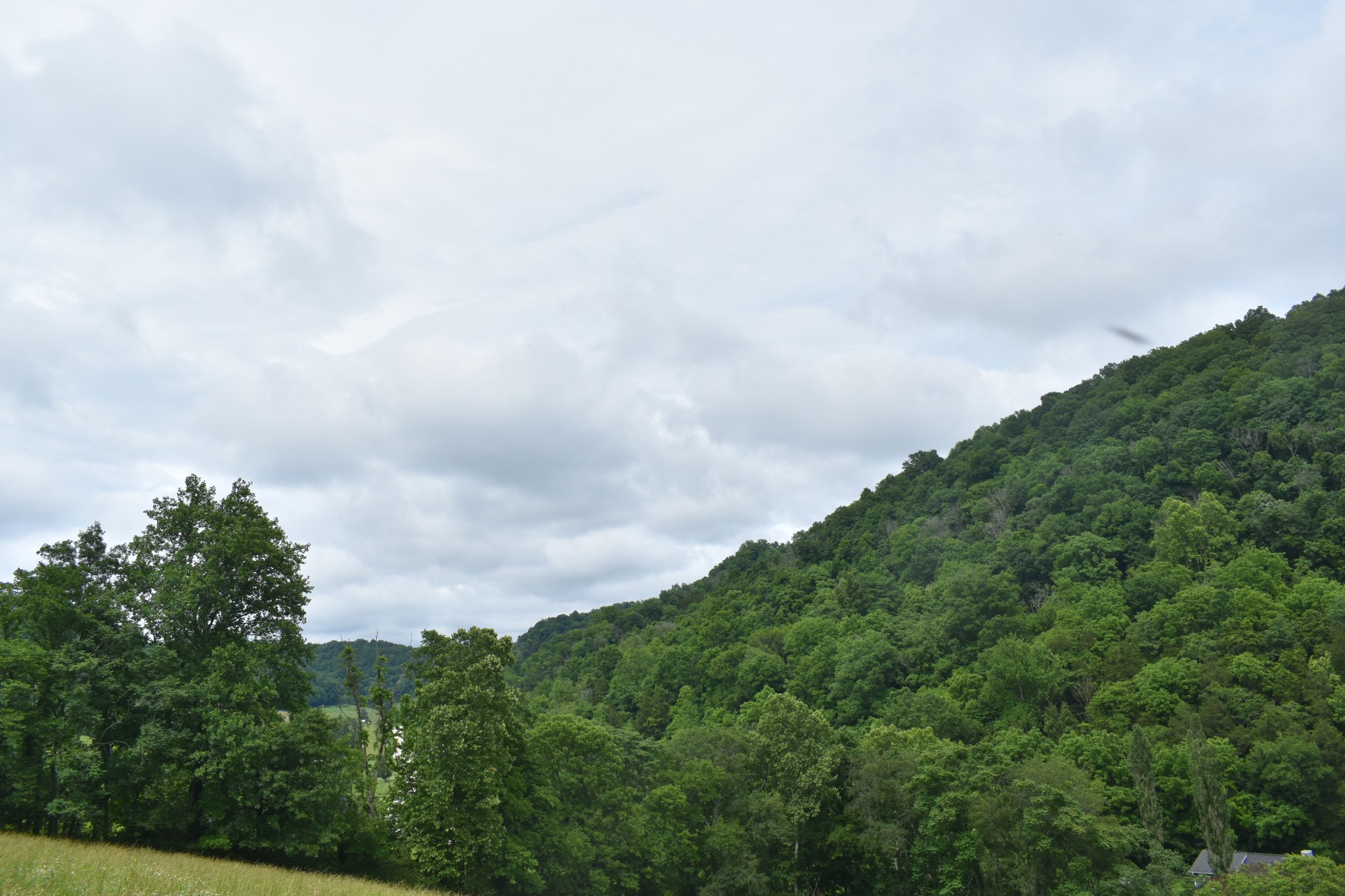 0 Pleasant Shade Hwy Lot 18, Pleasant Shade, TN 37145
