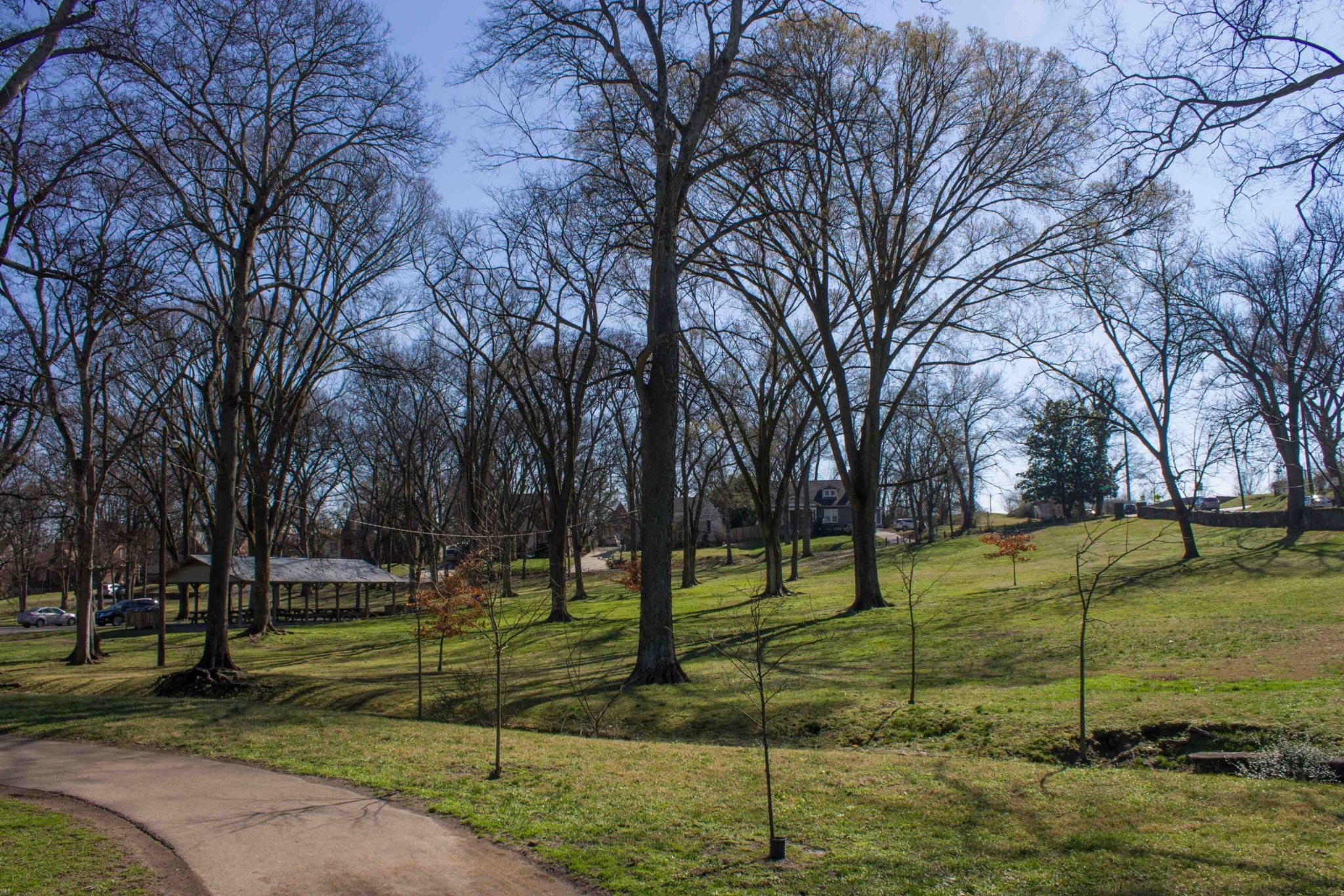 1314 Clifton Ln, Nashville, TN 37215
