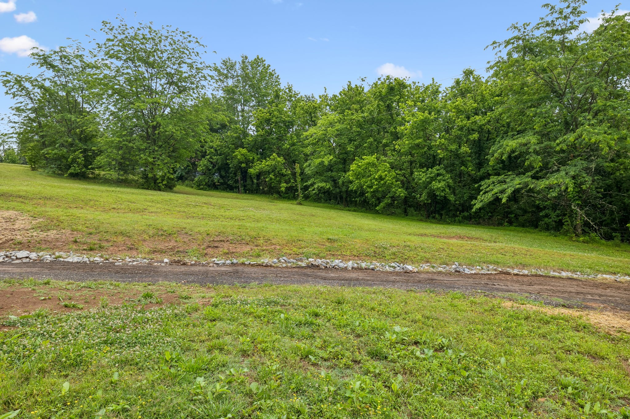 1183 Saddle Tree Rd, Ashland City, TN 37015