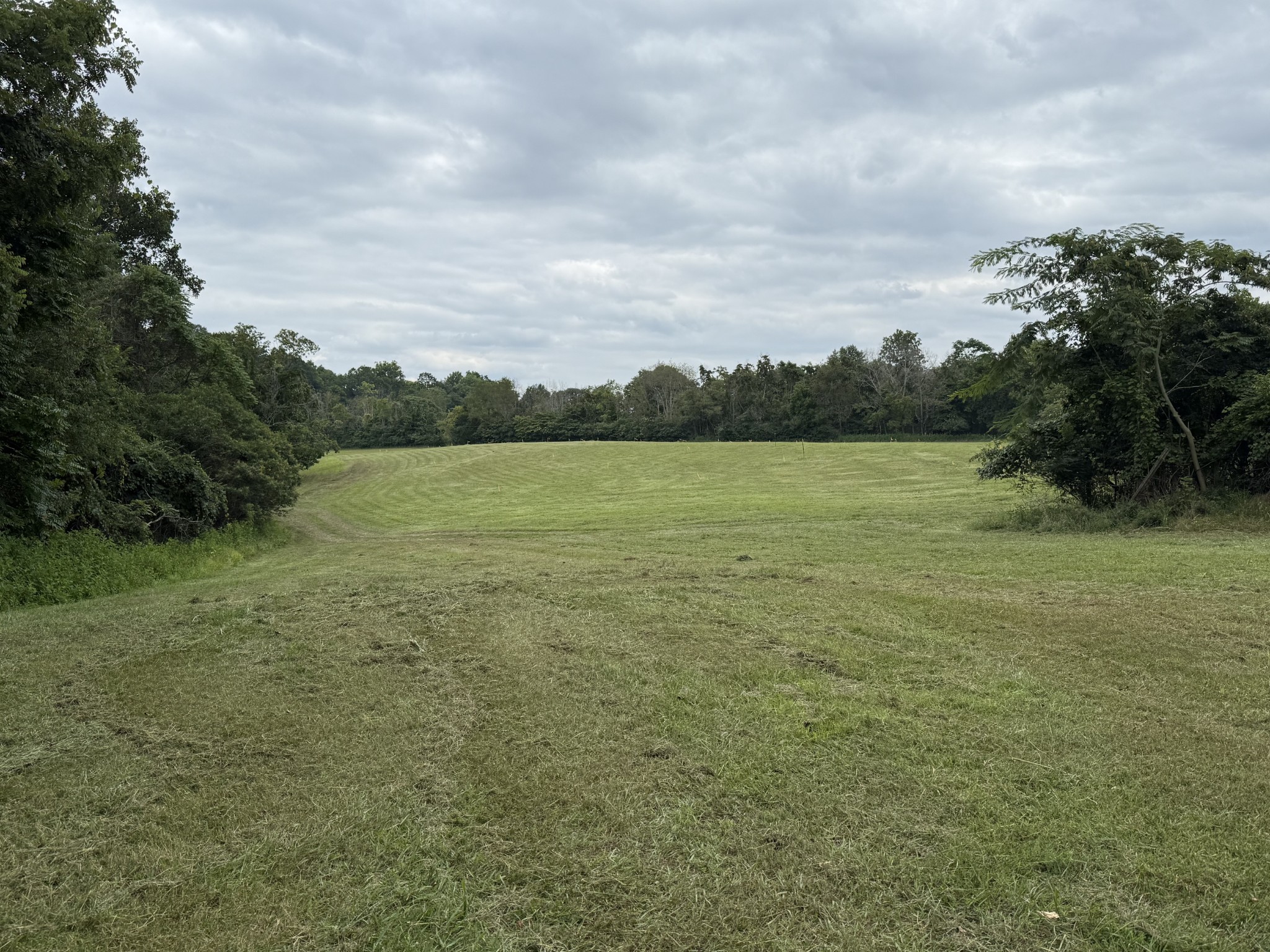0 Luster Rd Lot 3 & 4, Goodlettsville, TN 37072