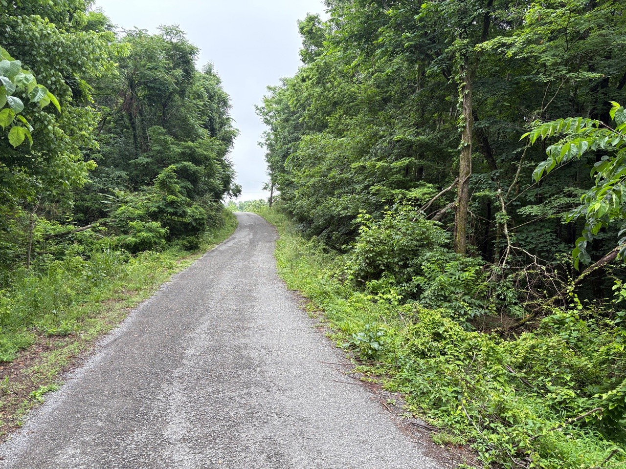 0 Ivy Hollow Rd Lot 5, Mount Pleasant, TN 38474