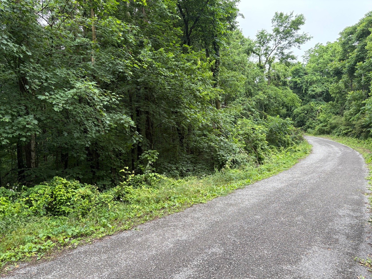 0 Ivy Hollow Rd Lot 5, Mount Pleasant, TN 38474
