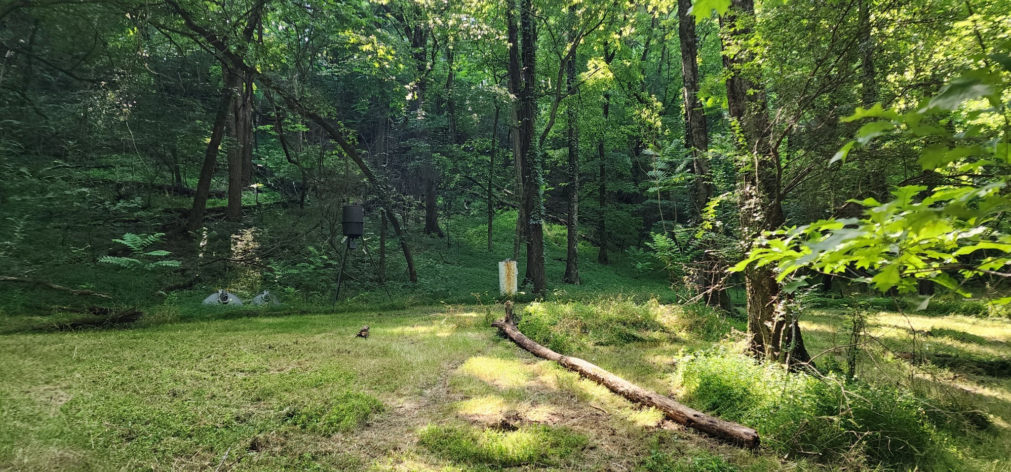 4002 Rippey Lake Rd, Mount Pleasant, TN 38474