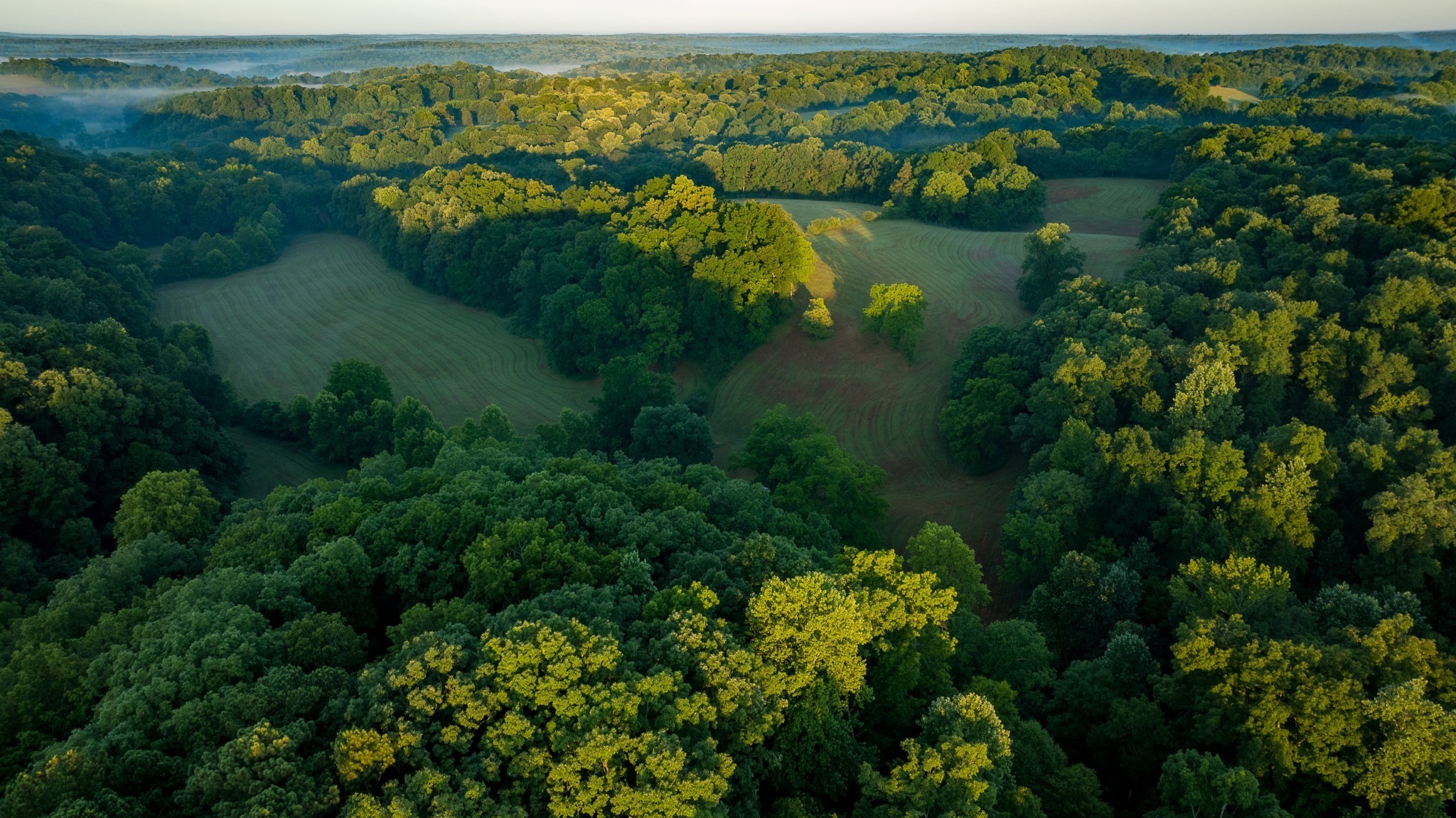 1462 Highway 48 S, Dickson, TN 37055