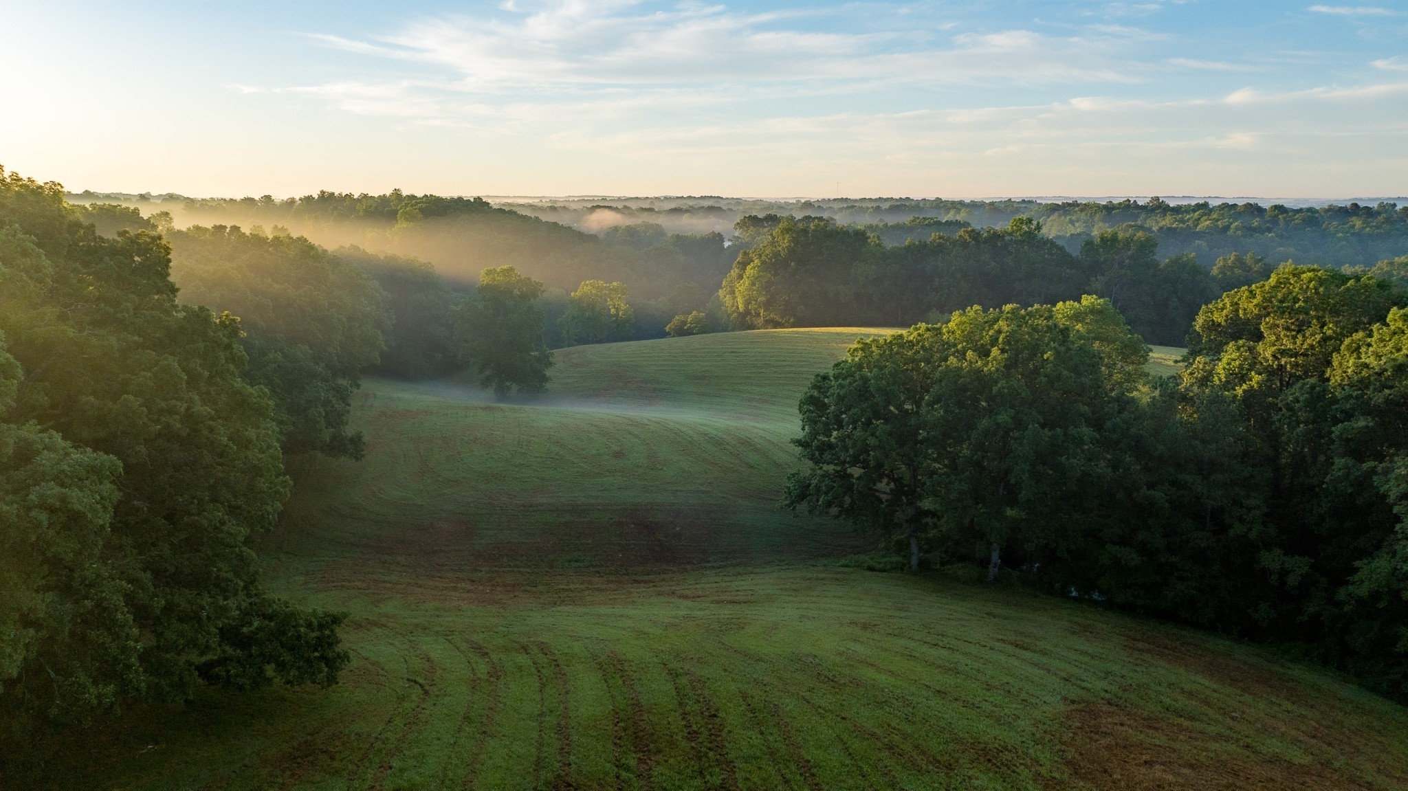 1462 Highway 48 S, Dickson, TN 37055