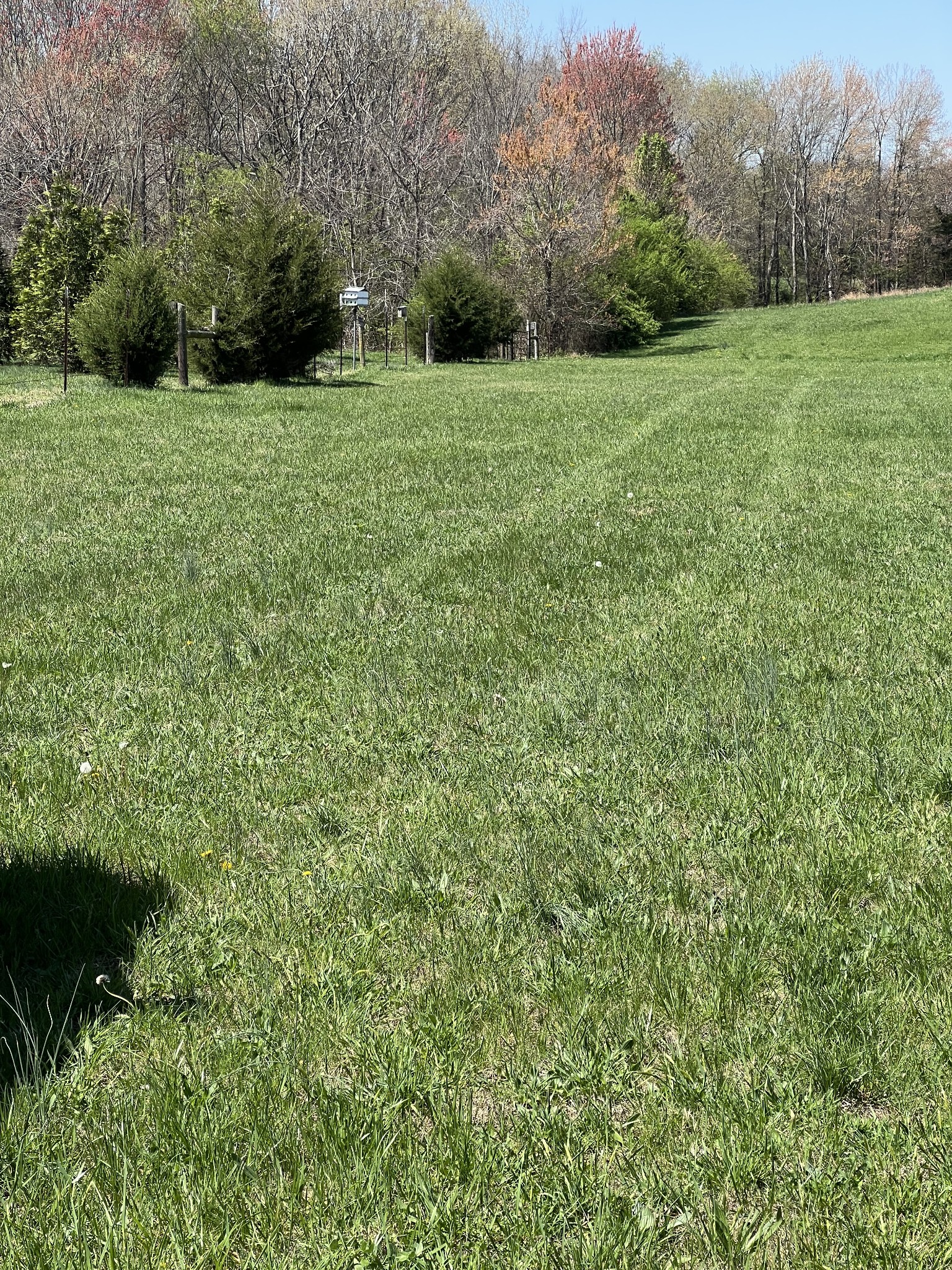 0 New Deal Pots Rd, Cottontown, TN 37048