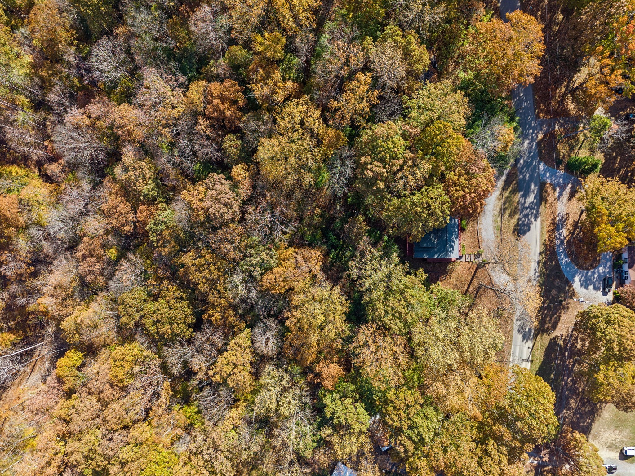 4222 Gourley Rd, Pegram, TN 37143