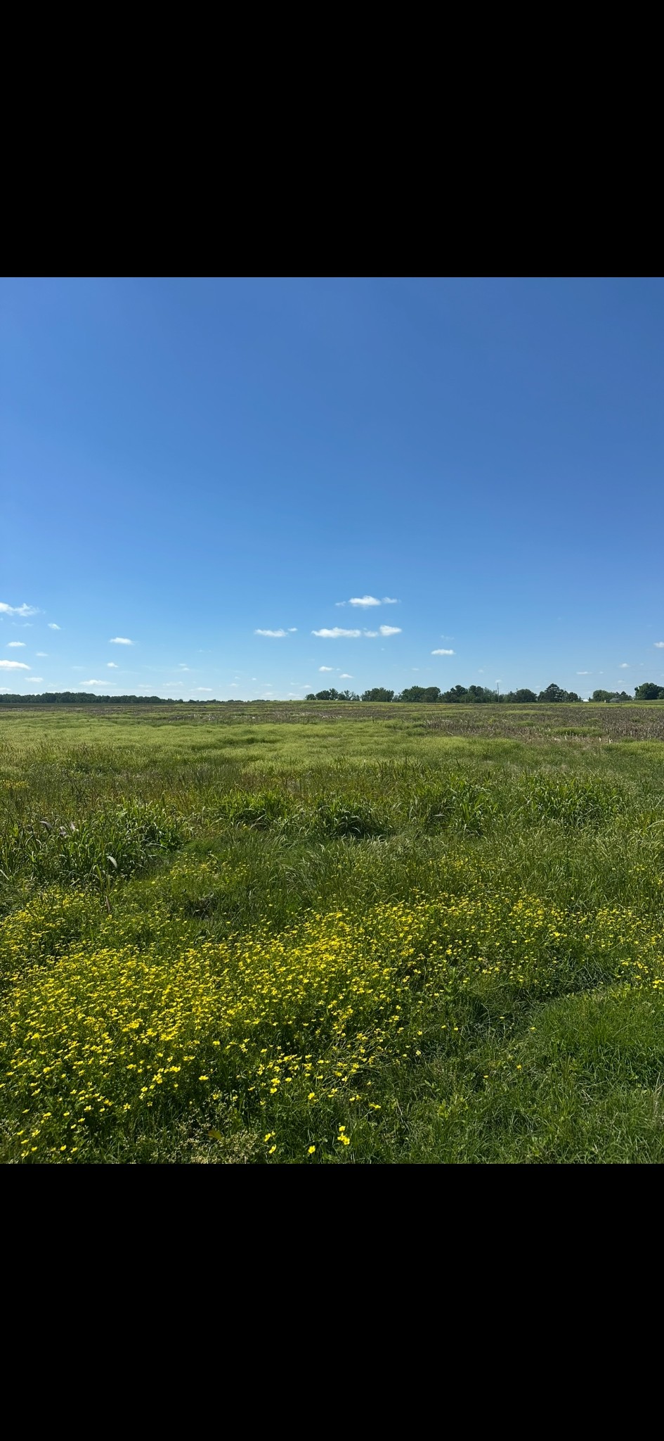 591 White Rd Lot 3, Portland, TN 37148