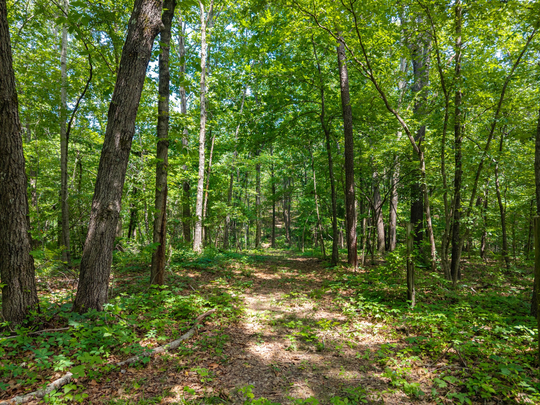0 Eli Rd Lot 4, Bon Aqua, TN 37025
