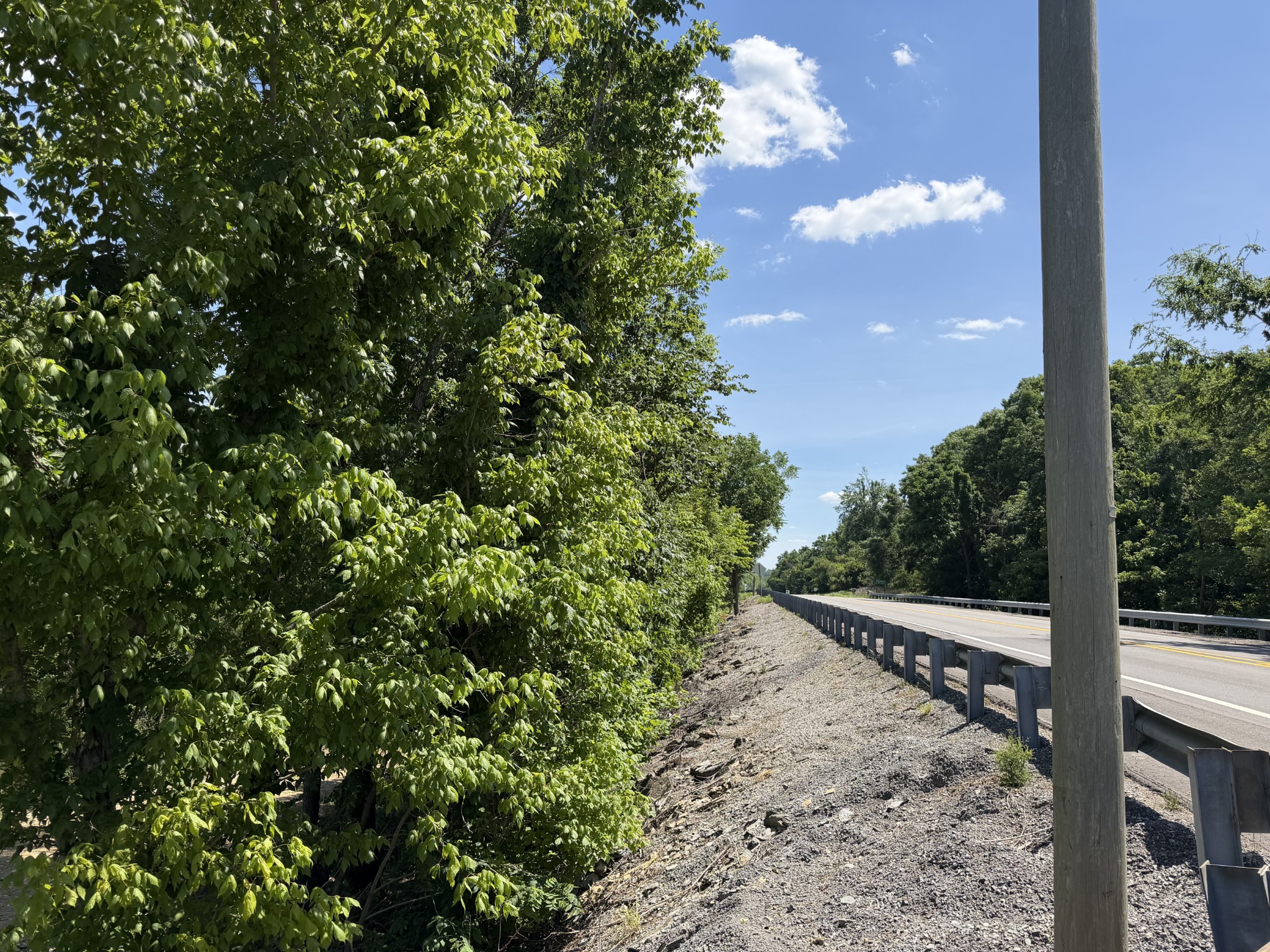 0 City Park Rd, Westmoreland, TN 37186