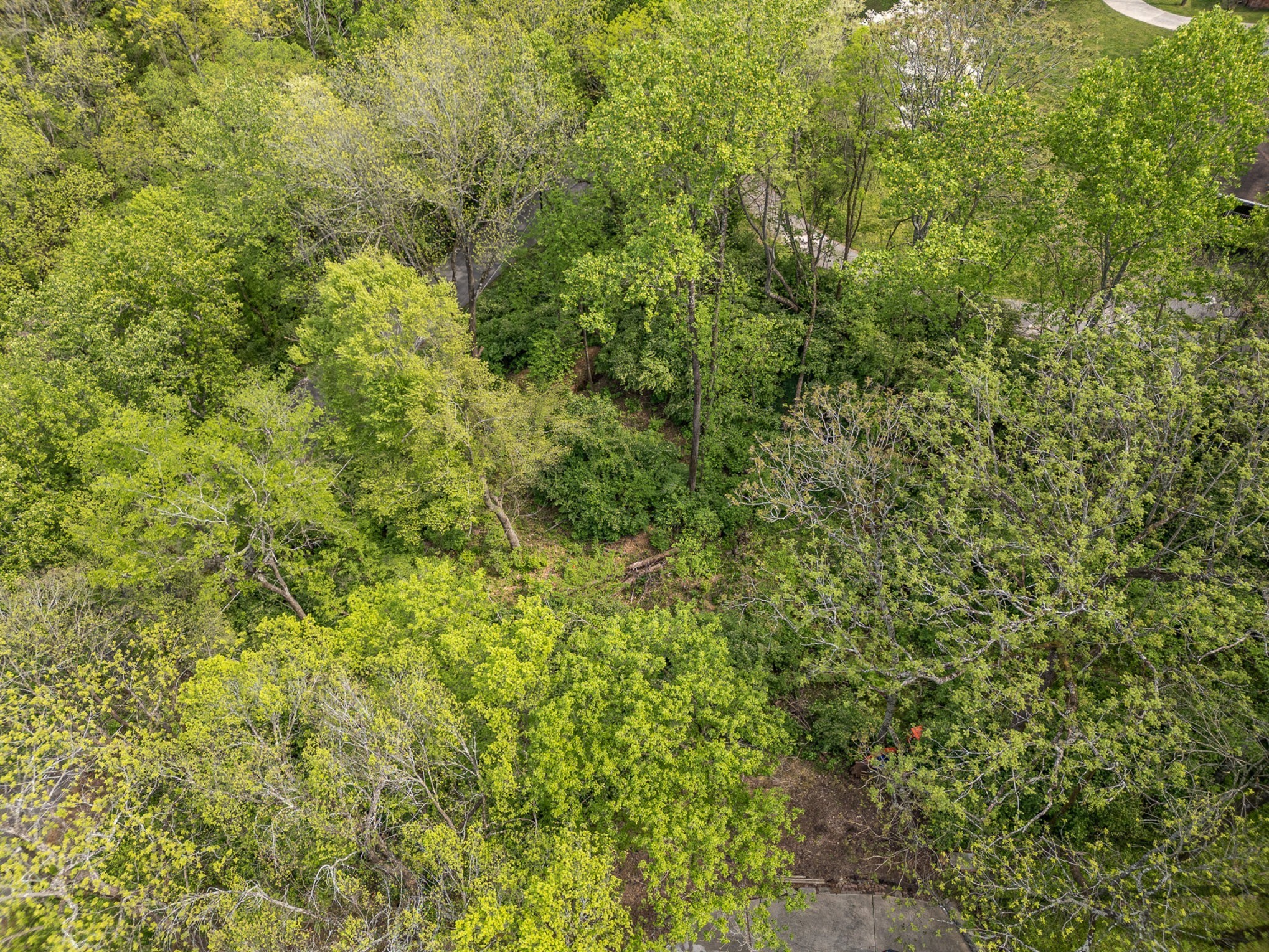 5113 W Concord Rd, Brentwood, TN 37027