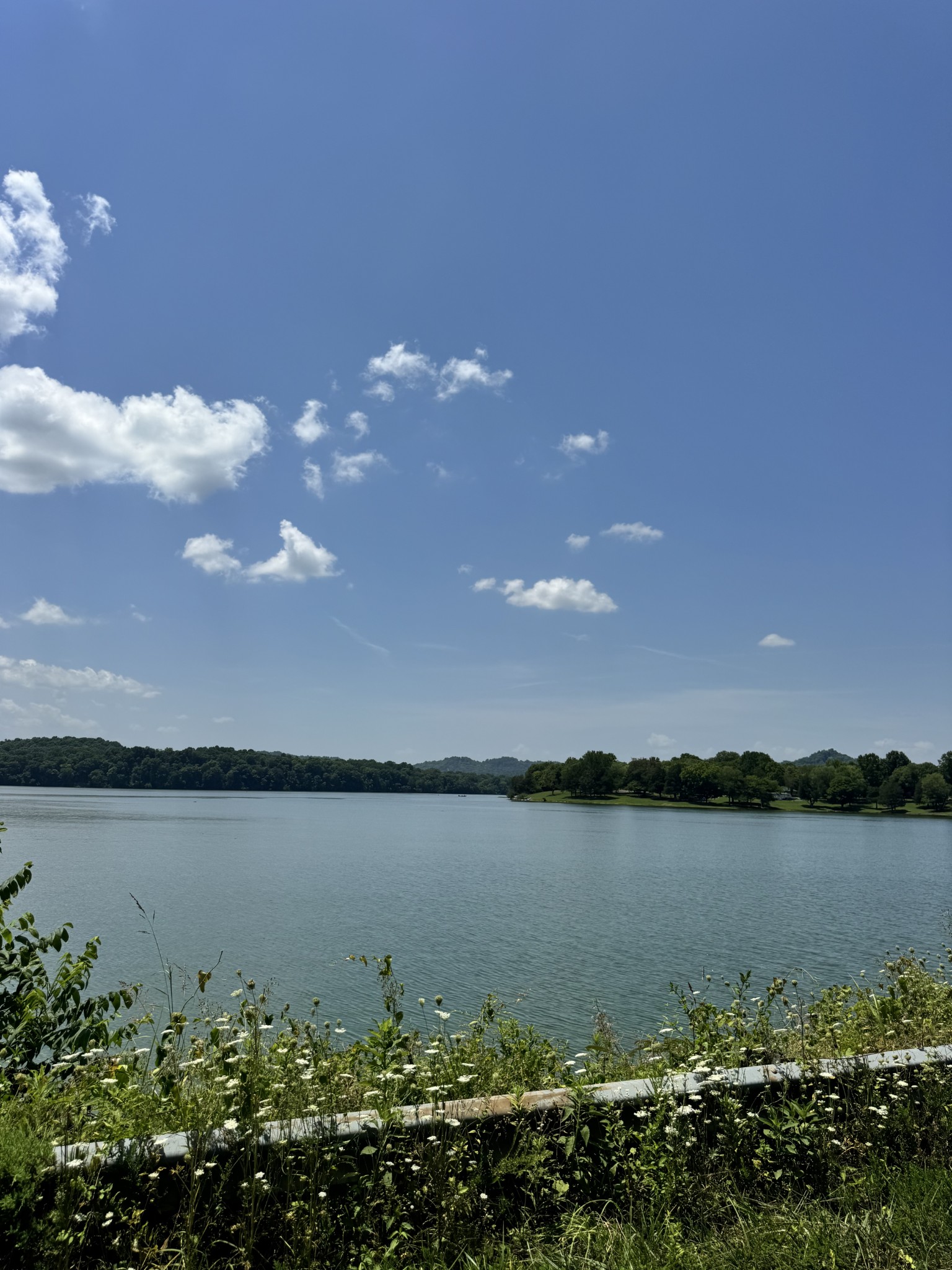 97 Mcclures Bend Ln, Carthage, TN 37030