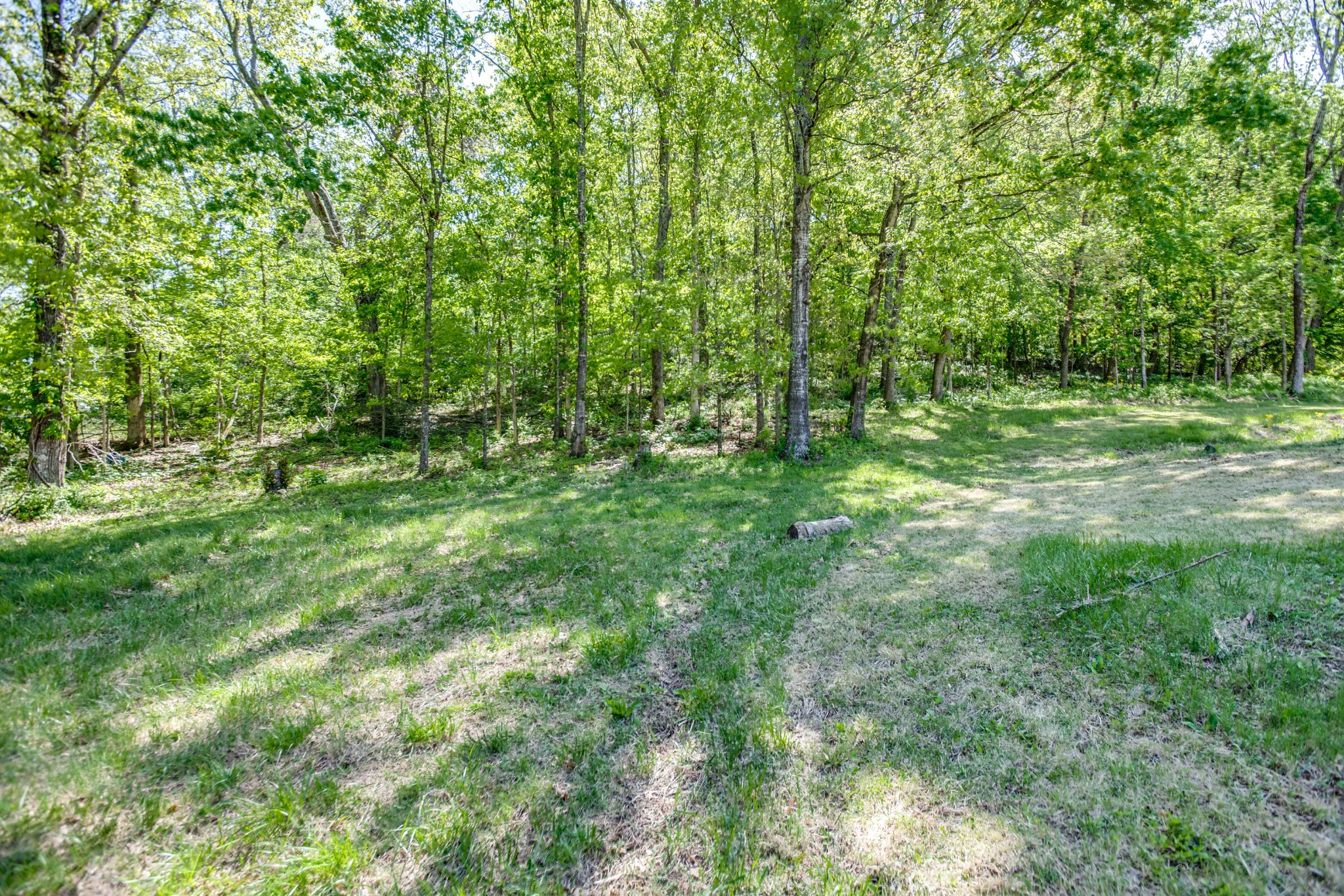 4141 Creek Trail Dr, Whites Creek, TN 37189