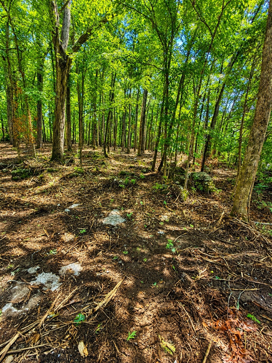 3612 Benders Ferry Rd Lot 9&10, Mount Juliet, TN 37122