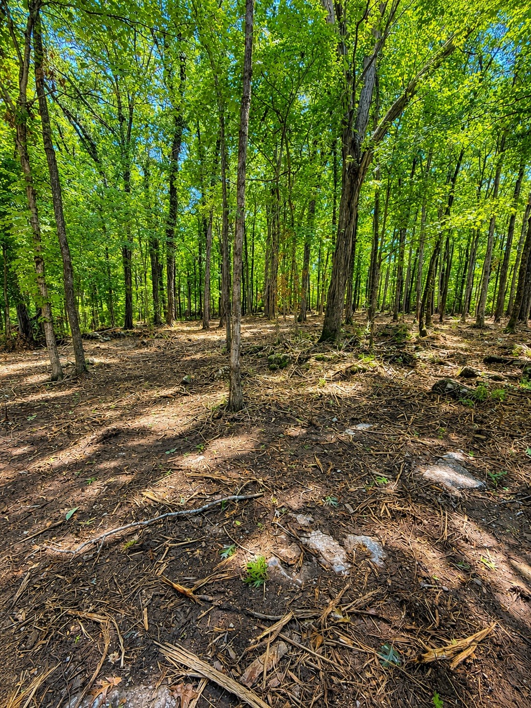 3612 Benders Ferry Rd Lot 9&10, Mount Juliet, TN 37122