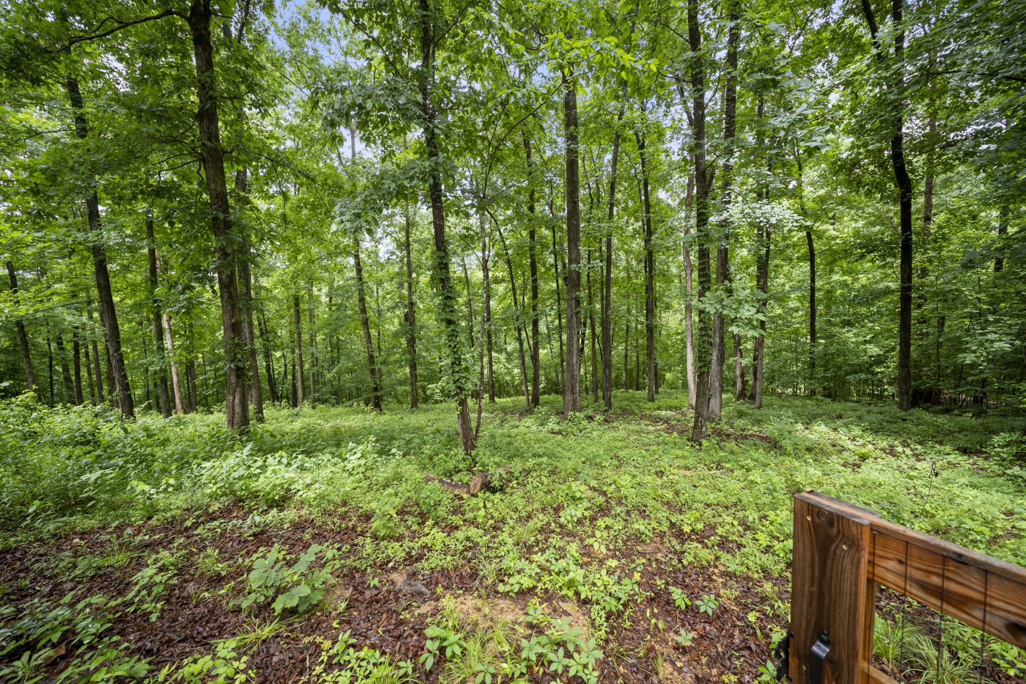212 Cherokee Dr, White Bluff, TN 37187