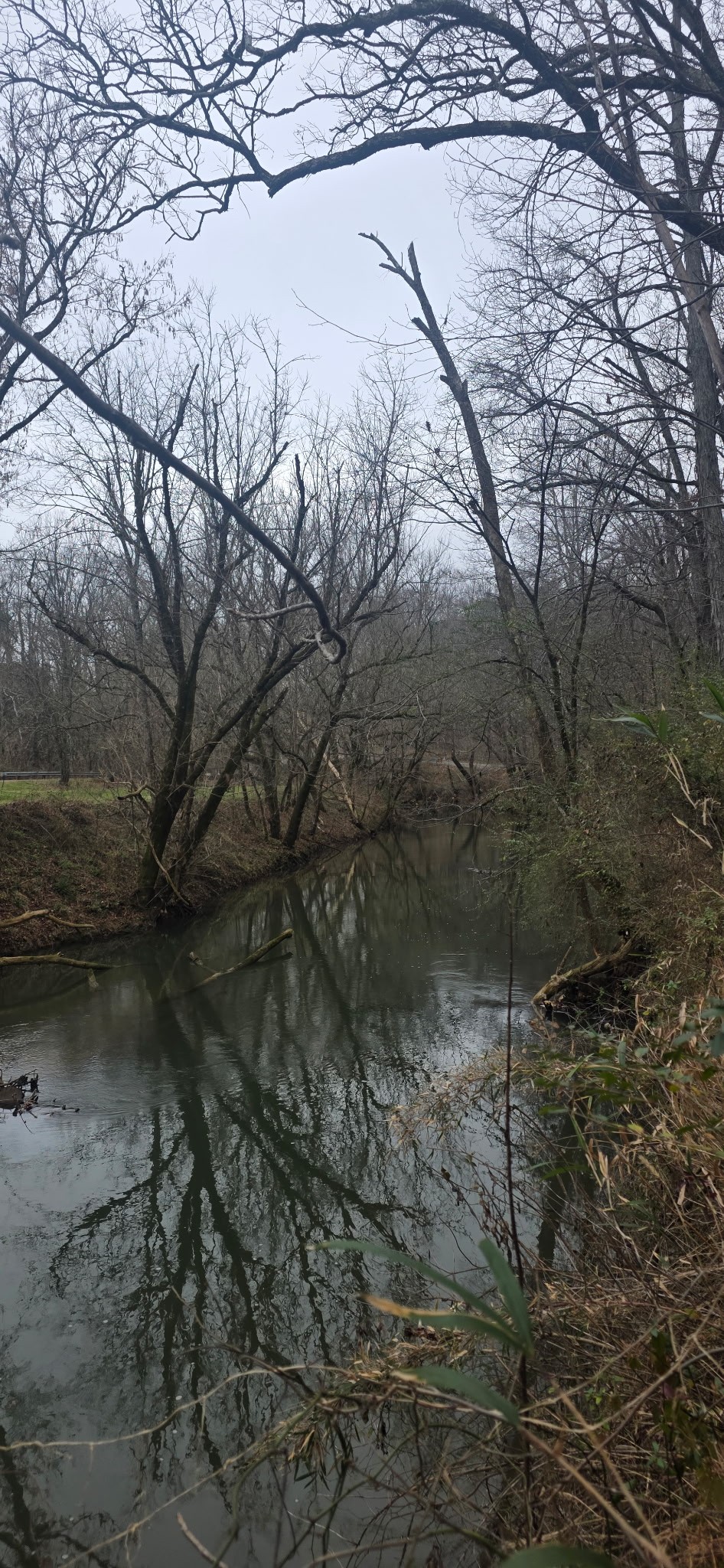 5463 Smiley Hollow Rd, Goodlettsville, TN 37072