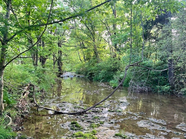 698 Clearview Rd, Cottontown, TN 37048