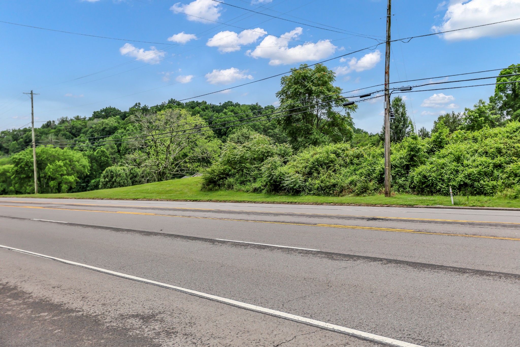 1725 Williamson Rd, Goodlettsville, TN 37072