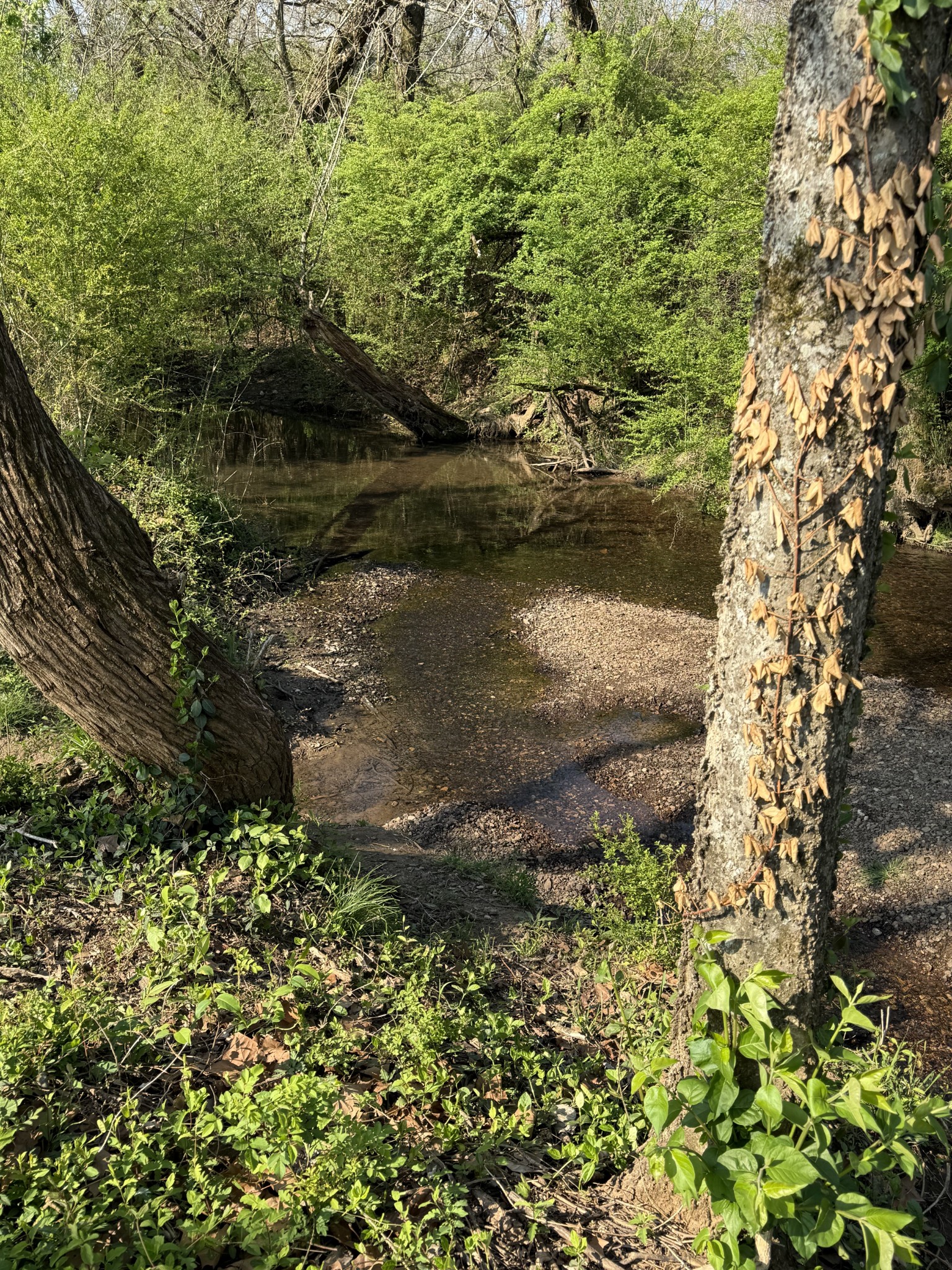 229 Stonewall Dr, Columbia, TN 38401