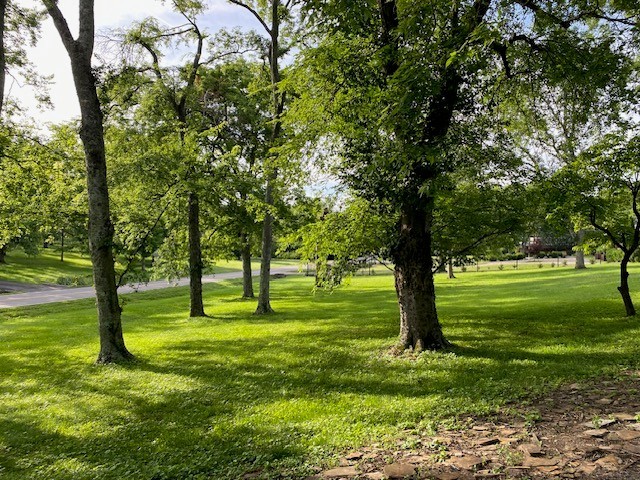 121 Vaughns Gap Rd, Nashville, TN 37205