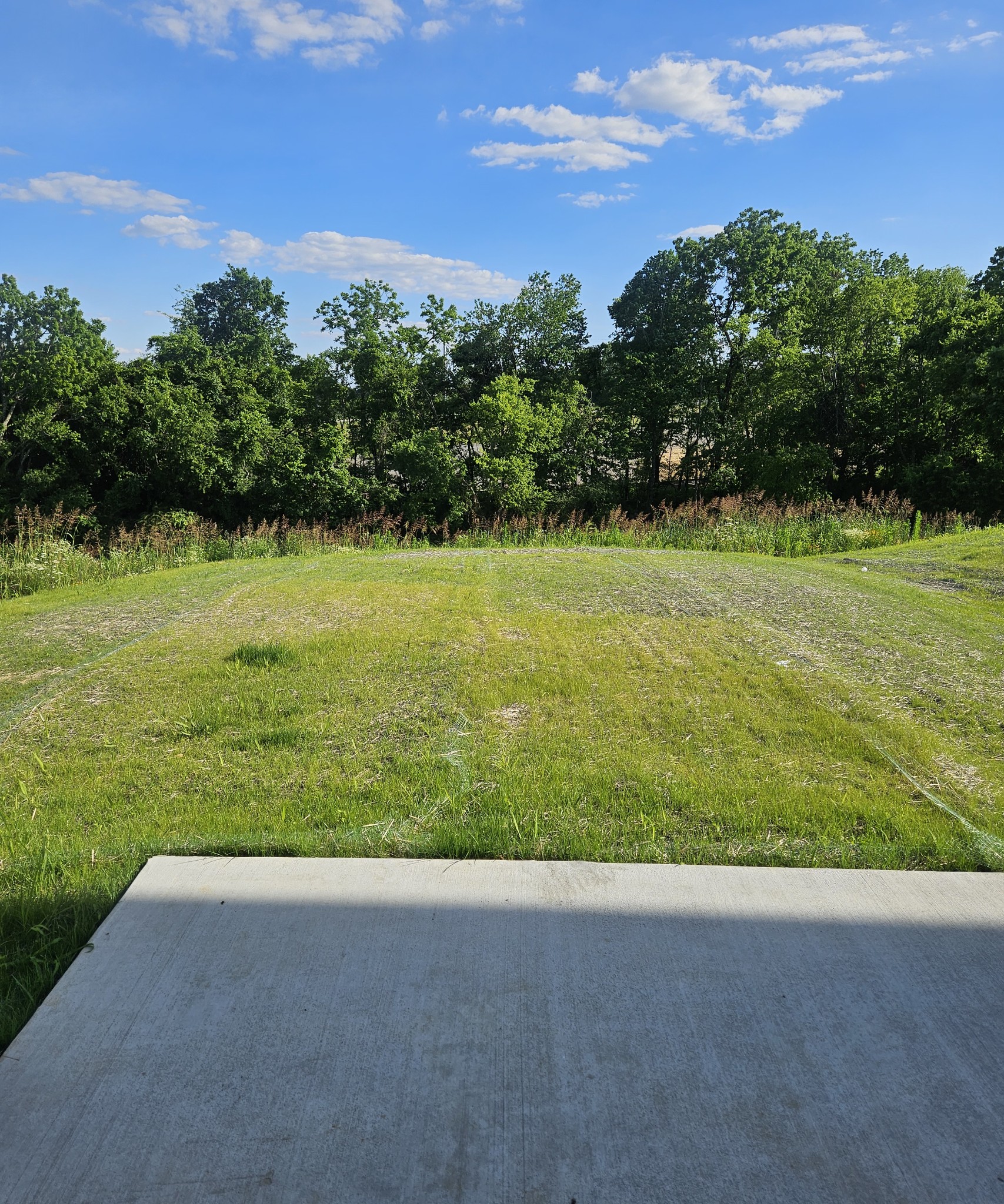 205 Snowdrop, La Vergne, TN 37086