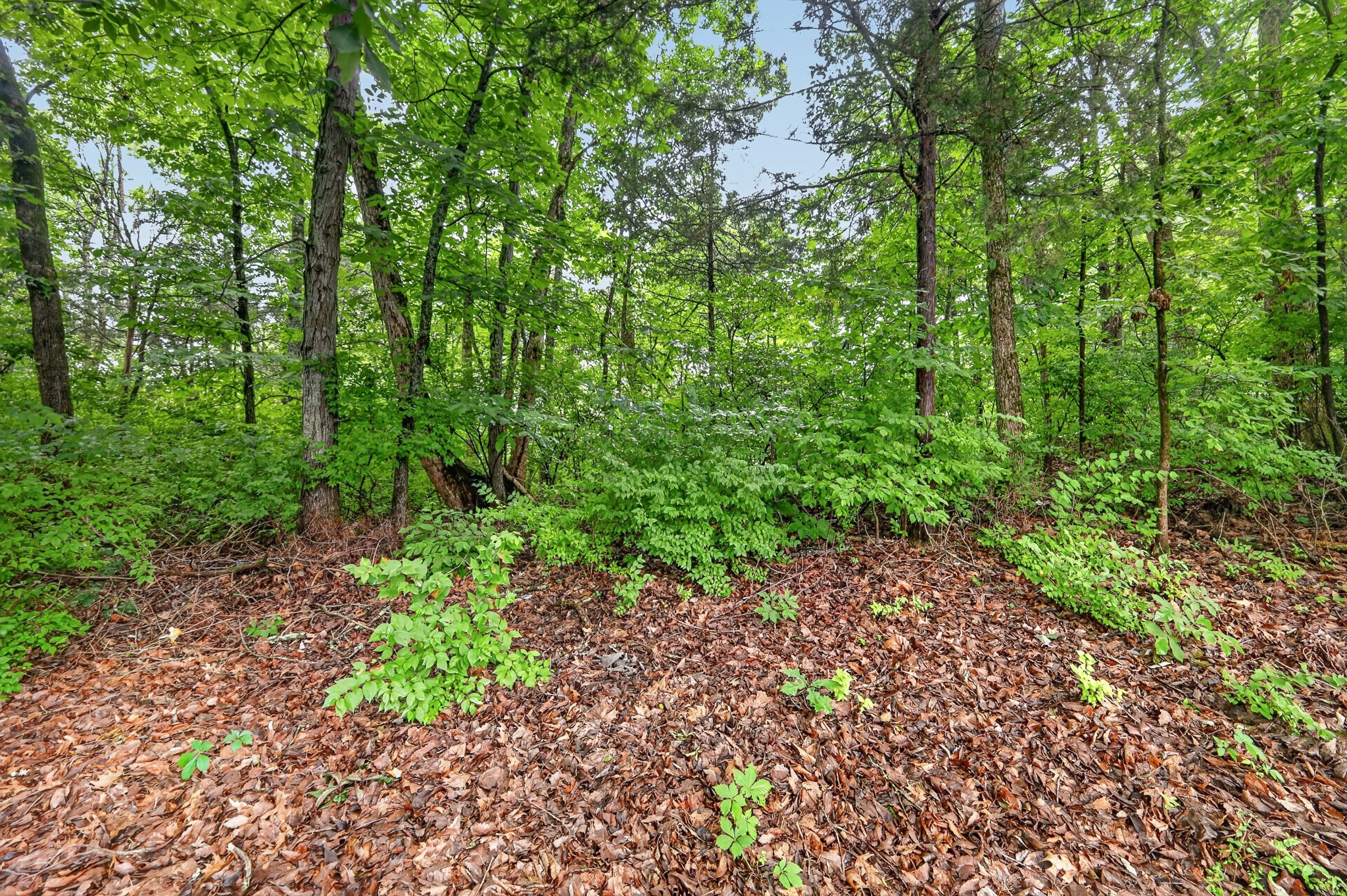4848 Highlander Cv, Antioch, TN 37013