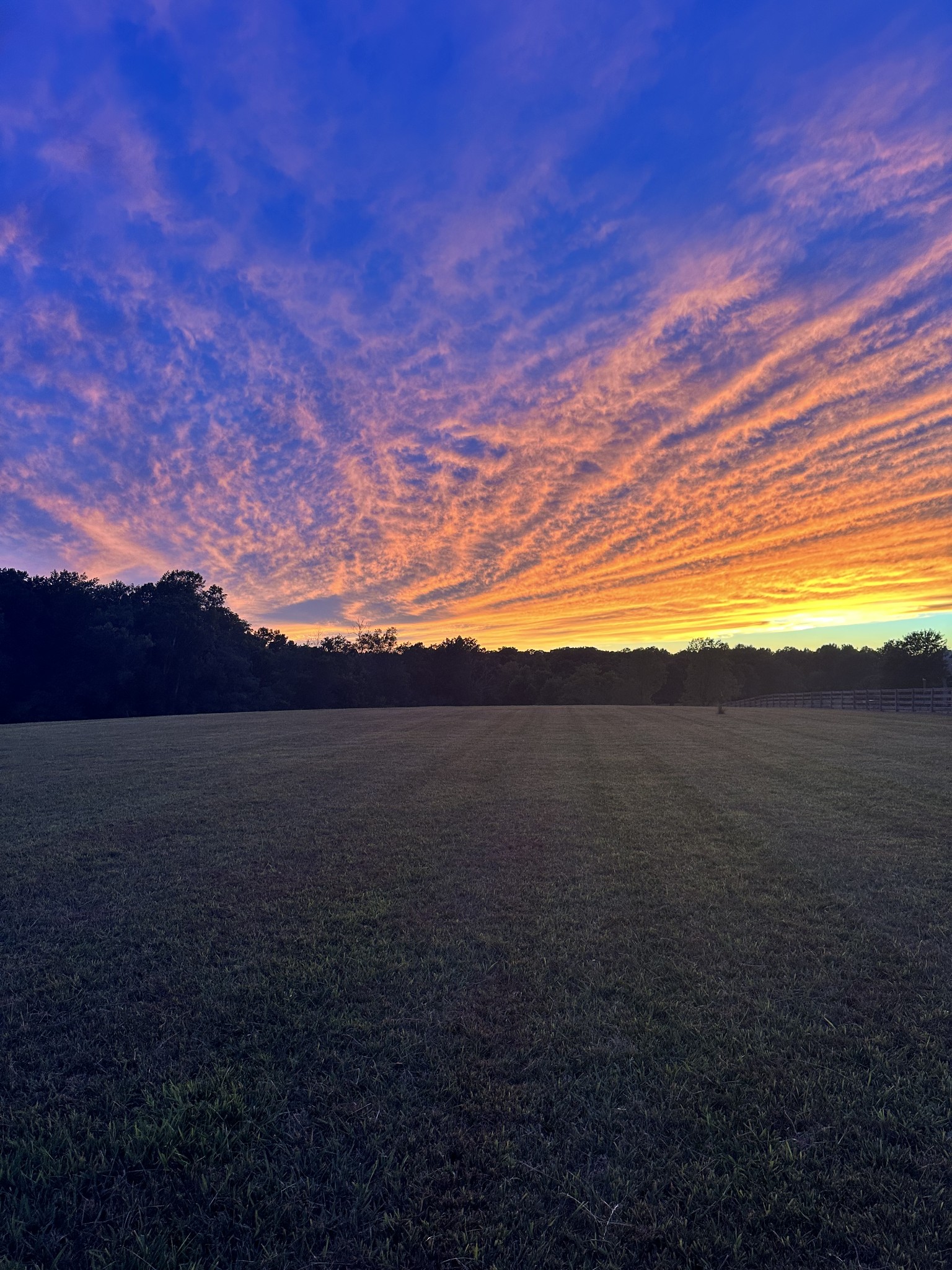 7509 Pinewood Rd Lot 1, Primm Springs, TN 38476