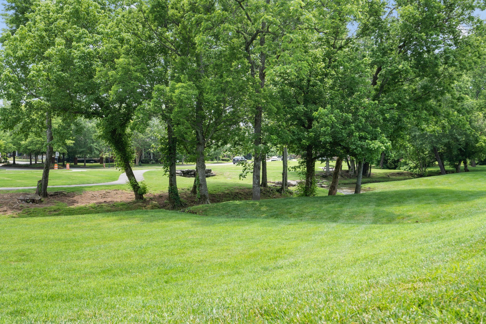 2801 Americus Dr, Thompsons Station, TN 37179