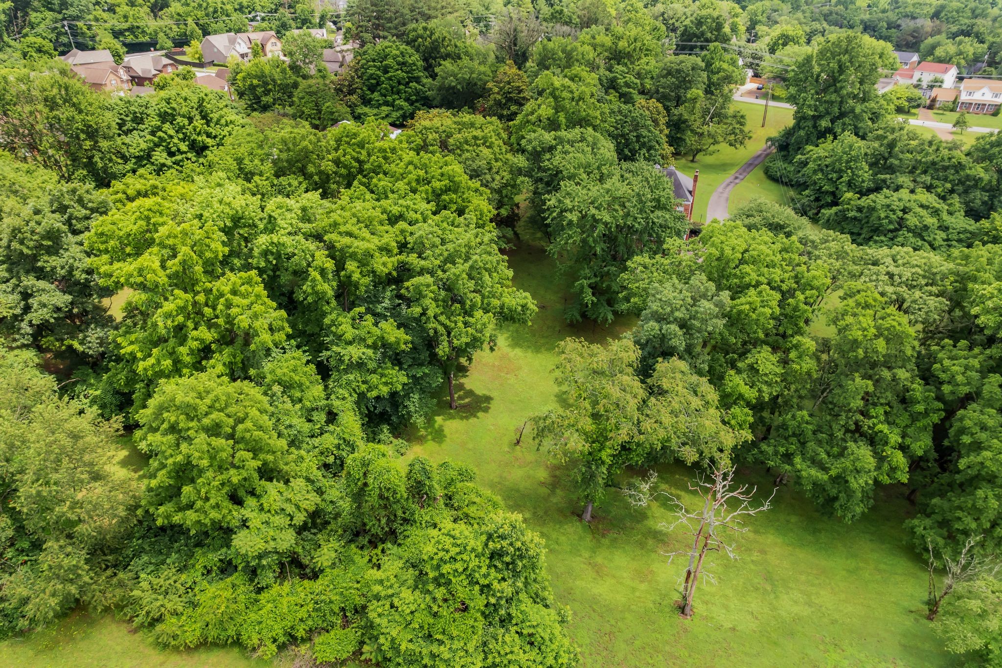 641 Old Lebanon Dirt Rd, Hermitage, TN 37076
