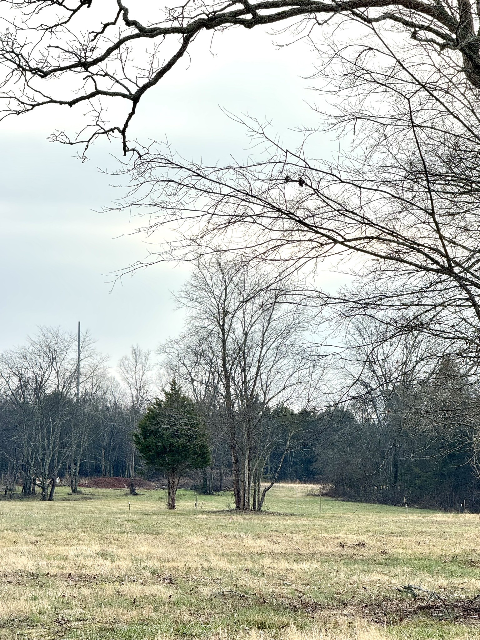 0 Vesta Rd Lot 11, Lebanon, TN 37090