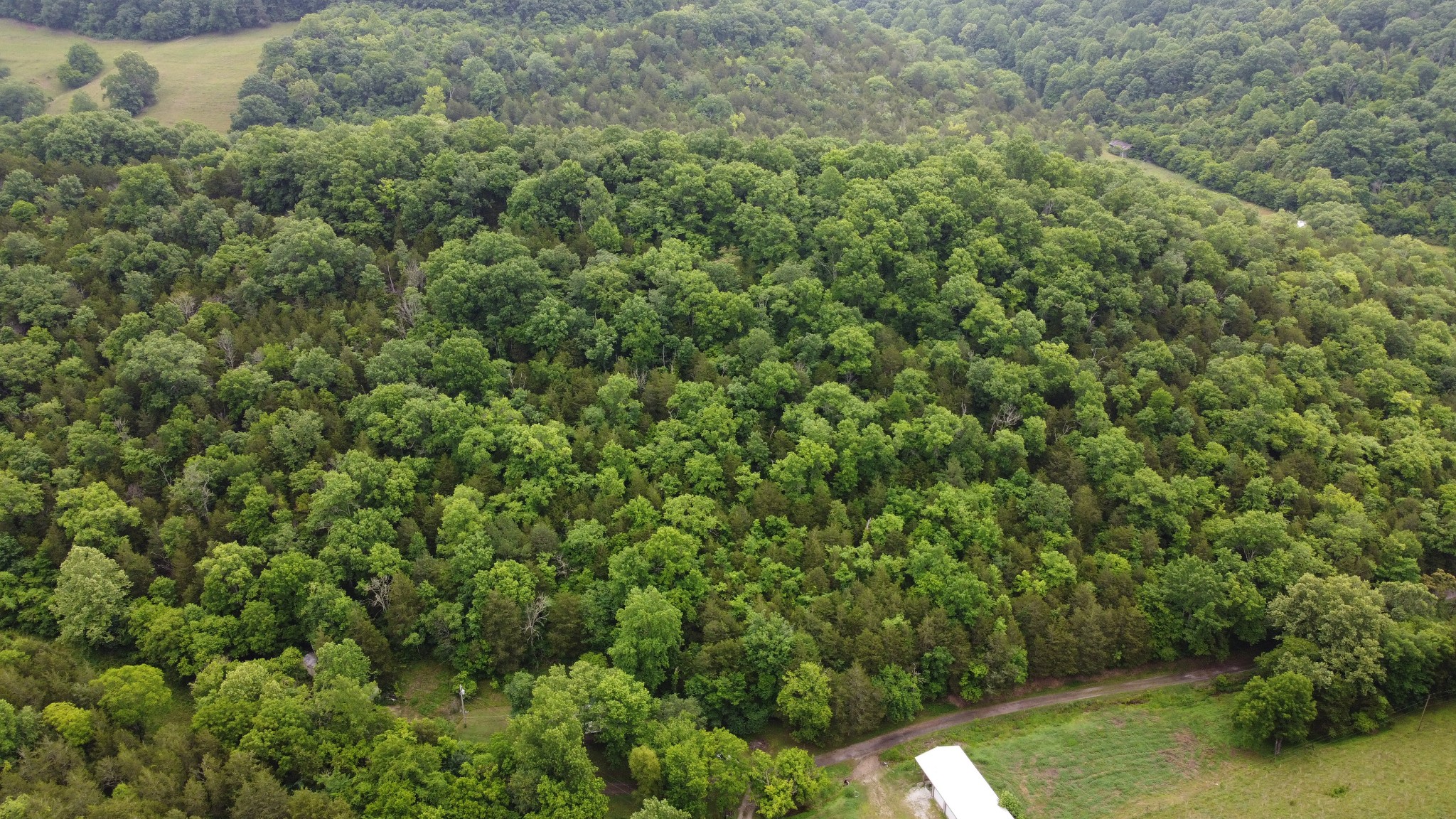 32 Patterson Ln, Pleasant Shade, TN 37145