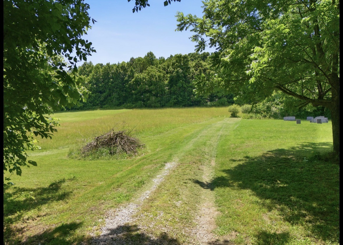 17 Dog Branch Rd S, Pleasant Shade, TN 37145