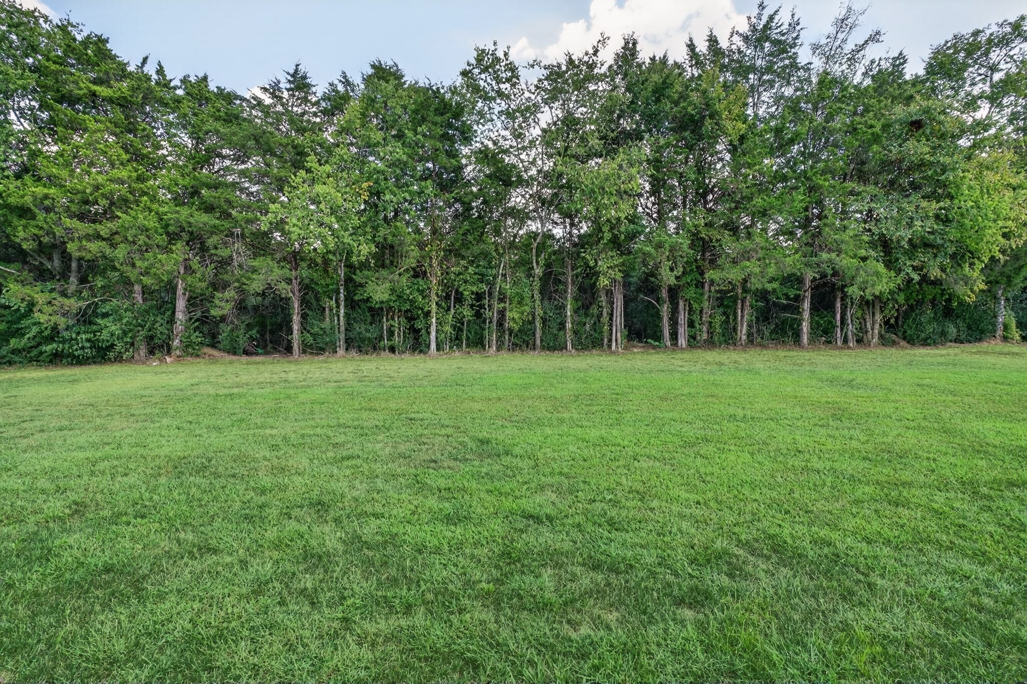 1439 Ansley Kay Dr, Christiana, TN 37037