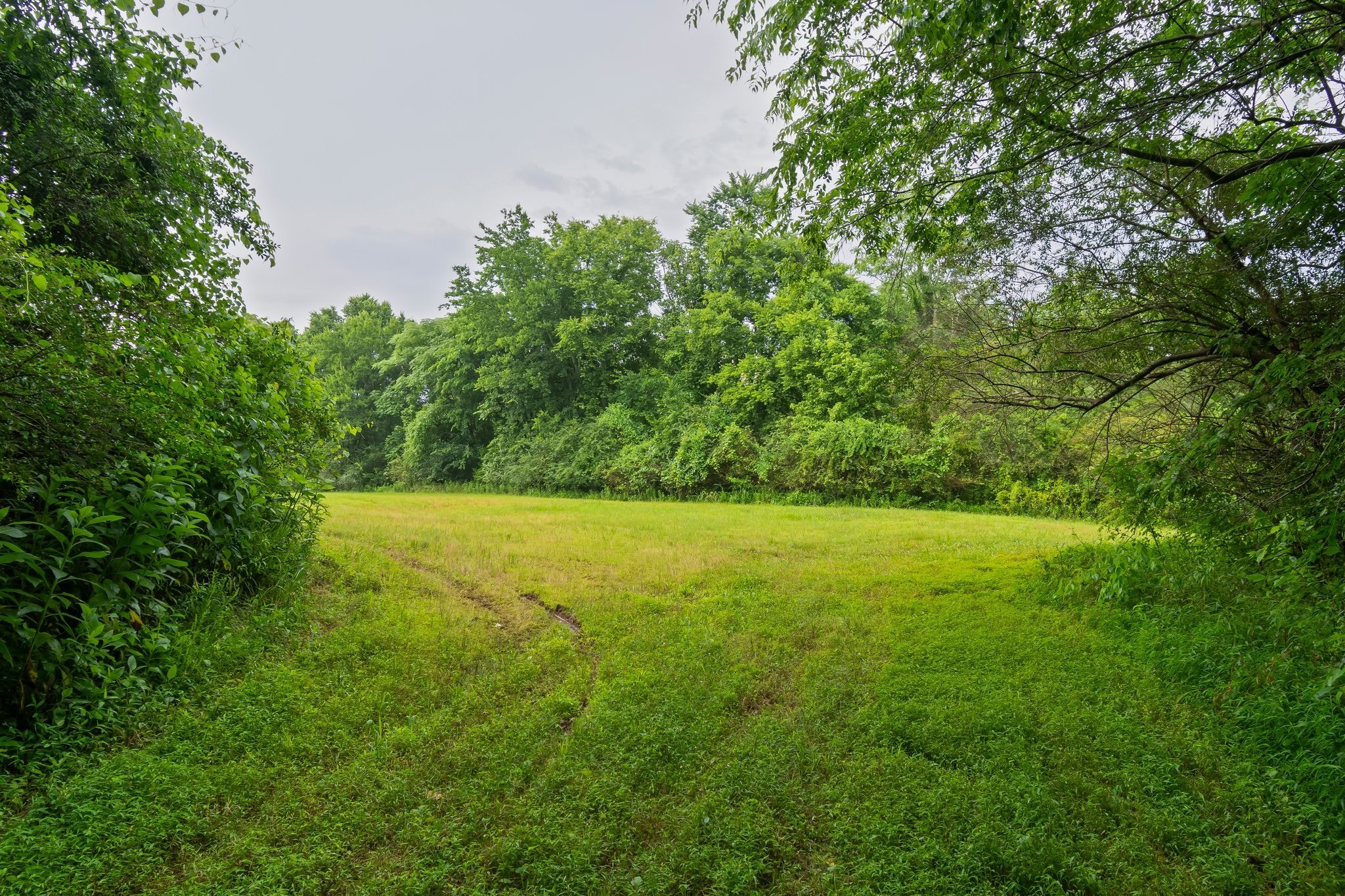 0 Stephens Rd, Columbia, TN 38401