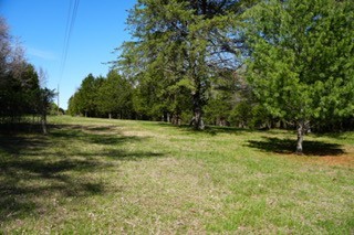 6790 Flat Creek Rd, College Grove, TN 37046