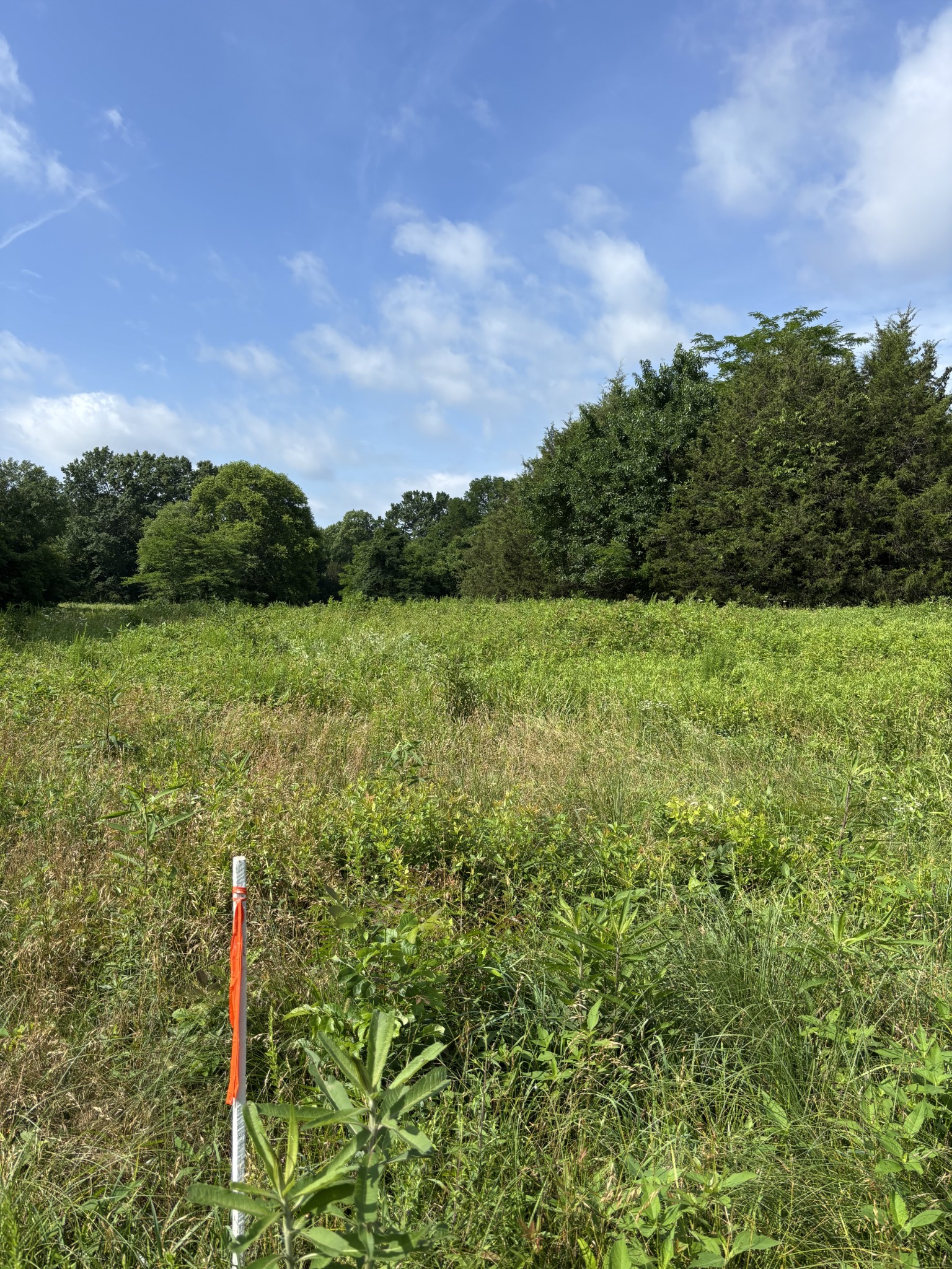 19 Vesta Rd Lot 19, Lebanon, TN 37090