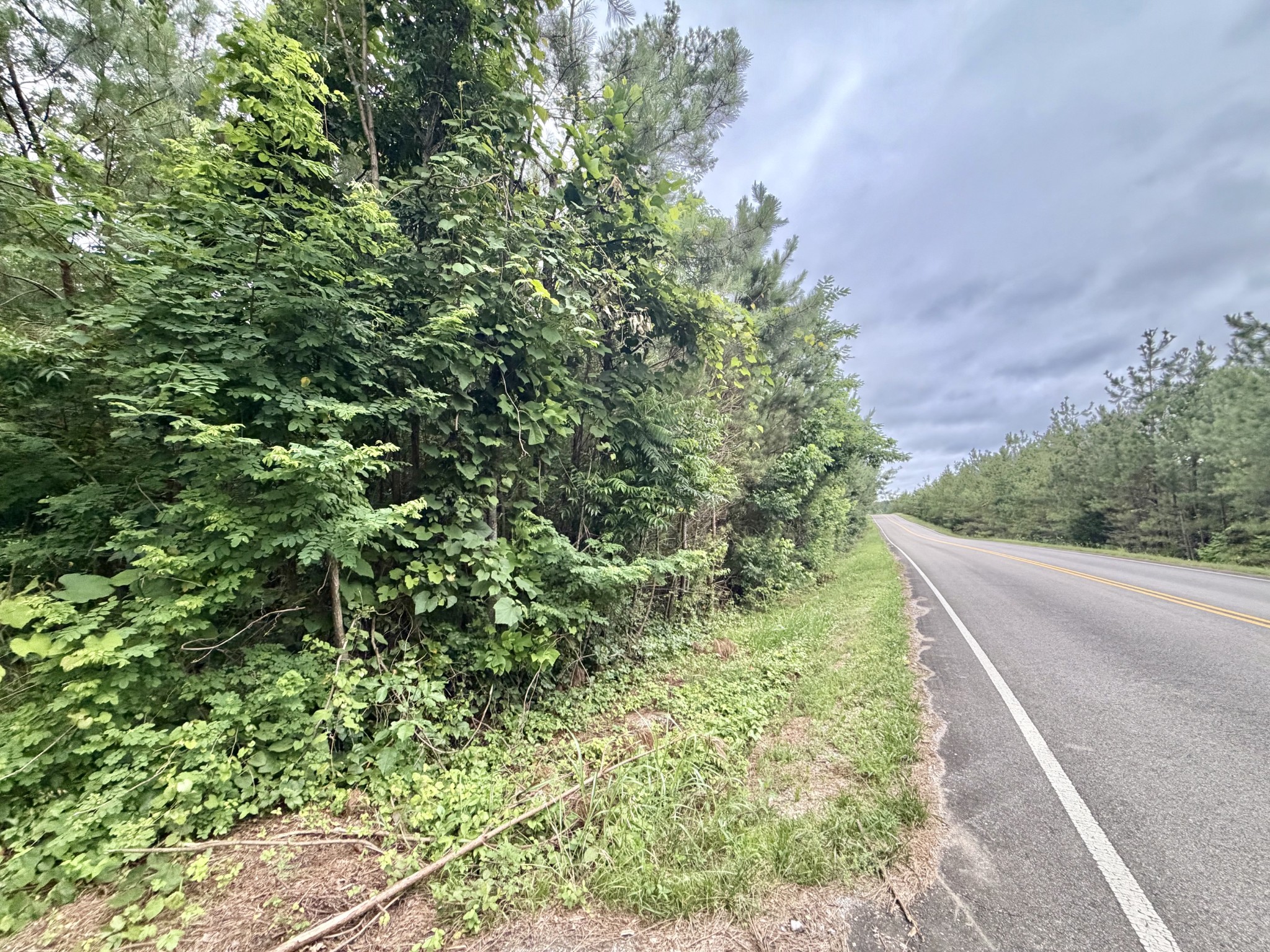 0 Cobbler Ridge Rd Lot 3, Franklin, TN 37064