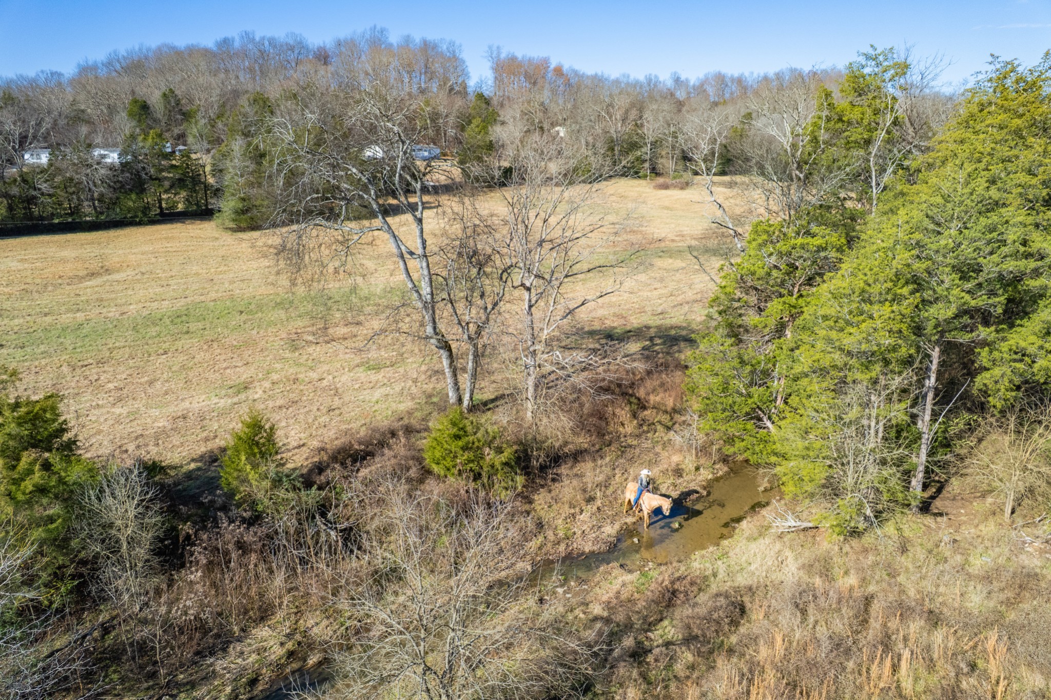 0 Clyde Foster Rd Lot #1, Culleoka, TN 38451