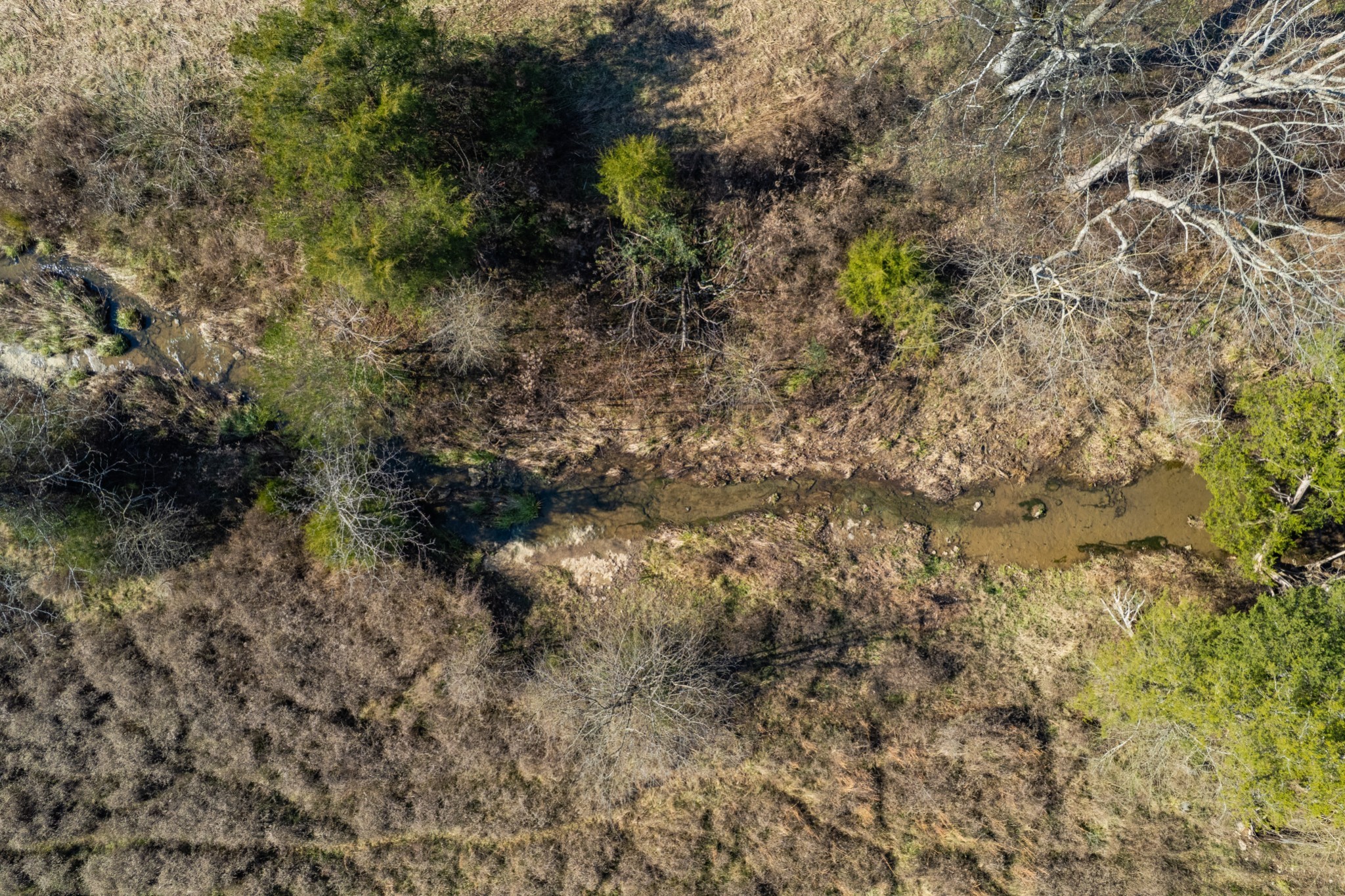 0 Clyde Foster Rd, Culleoka, TN 38451