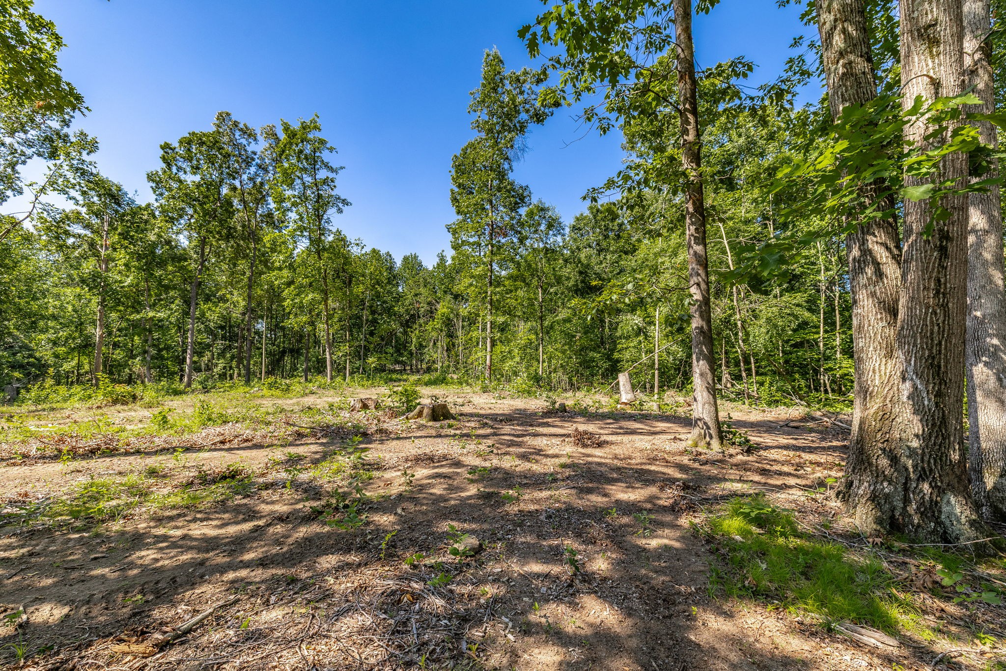 0 Belcher Hollow Rd Lot 5, Cottontown, TN 37048