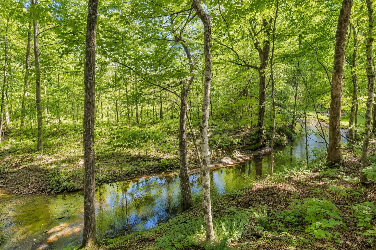 7148 Locksley Ln, Fairview, TN 37062