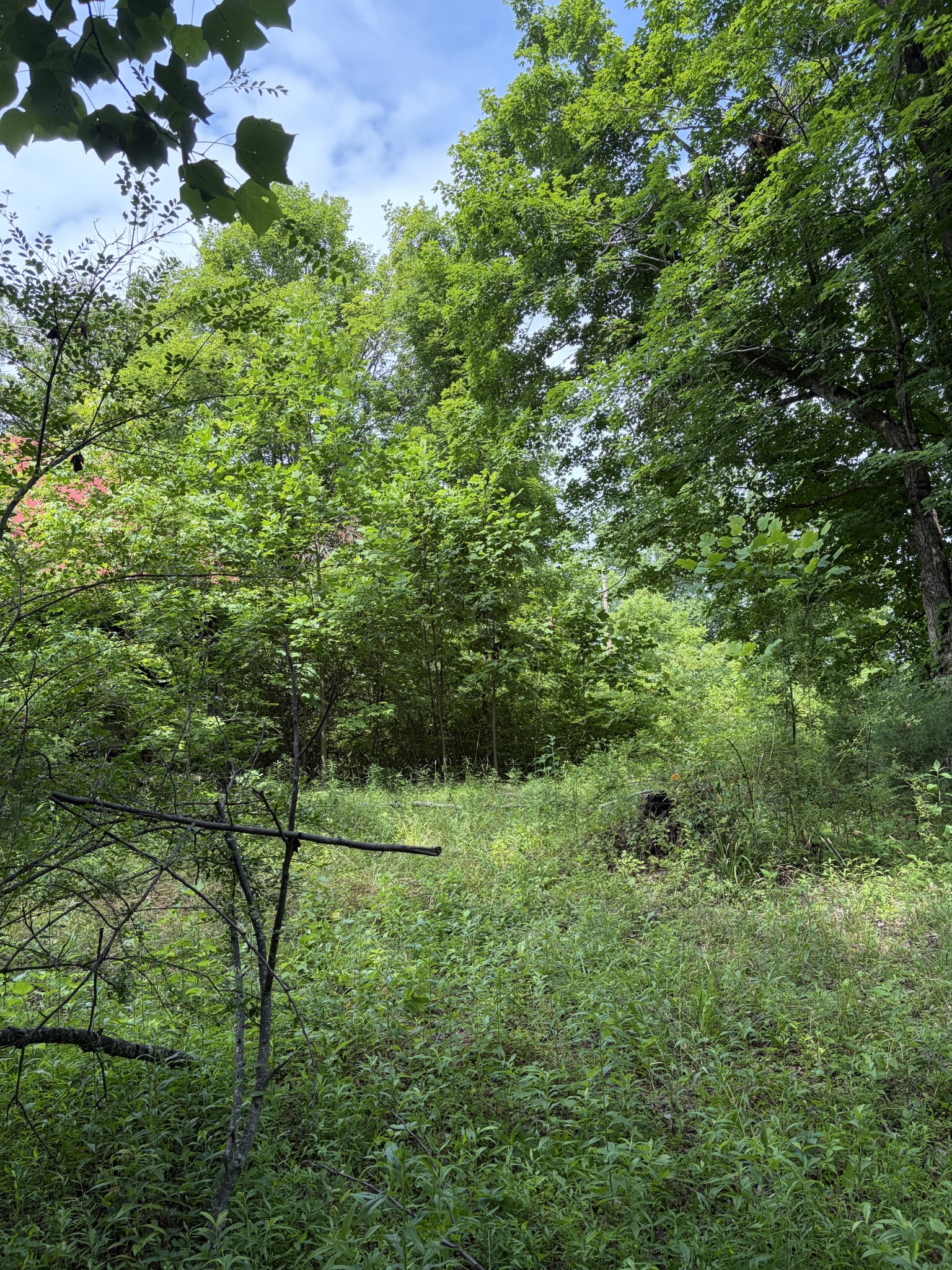 200 Robert Neal Durham Rd, Bethpage, TN 37022
