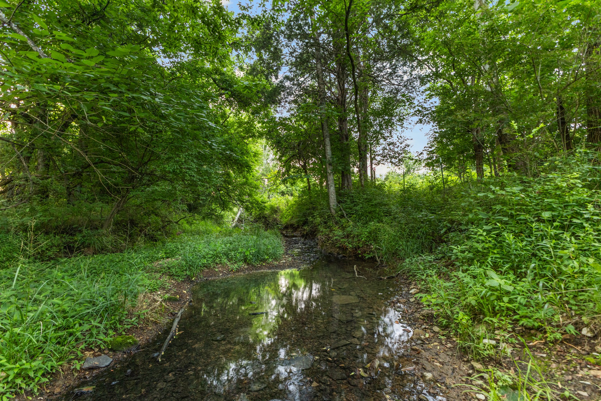 8021 Palmore Hollow Ln, Nolensville, TN 37135