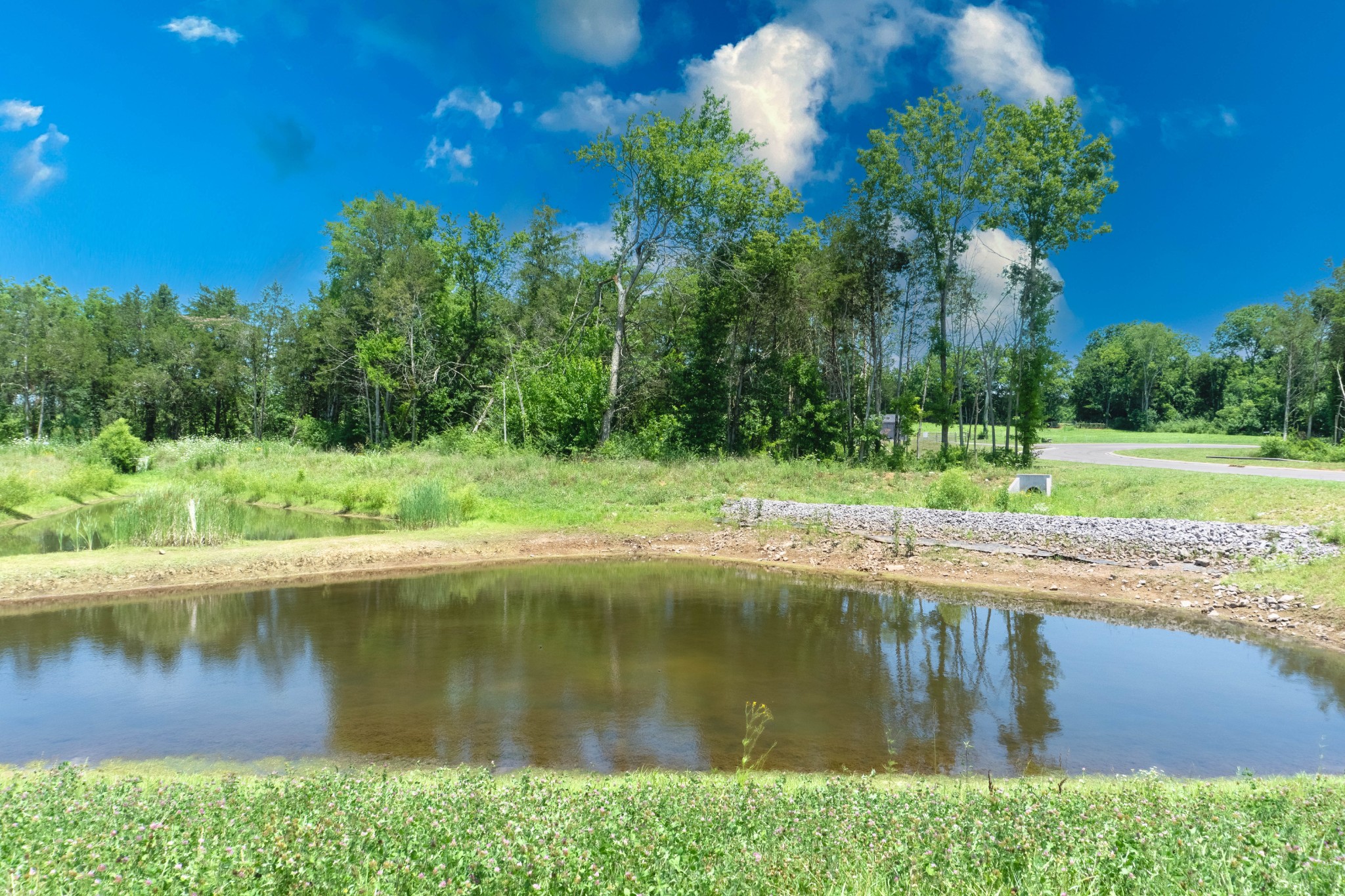 3002 Stonehorn Dr, Bell Buckle, TN 37020