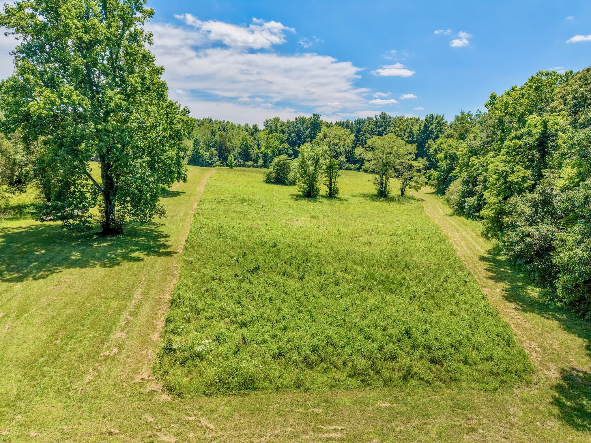 1251 Highway 96 N, Fairview, TN 37062