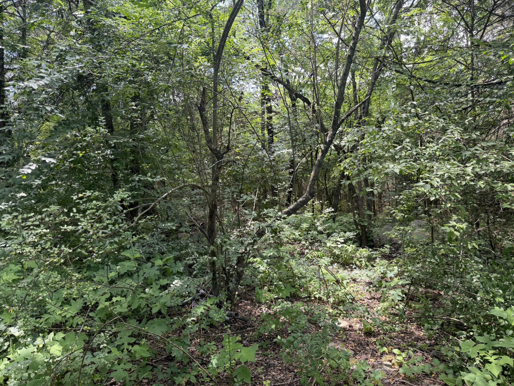 4750 Franklin Rd, Lebanon, TN 37090